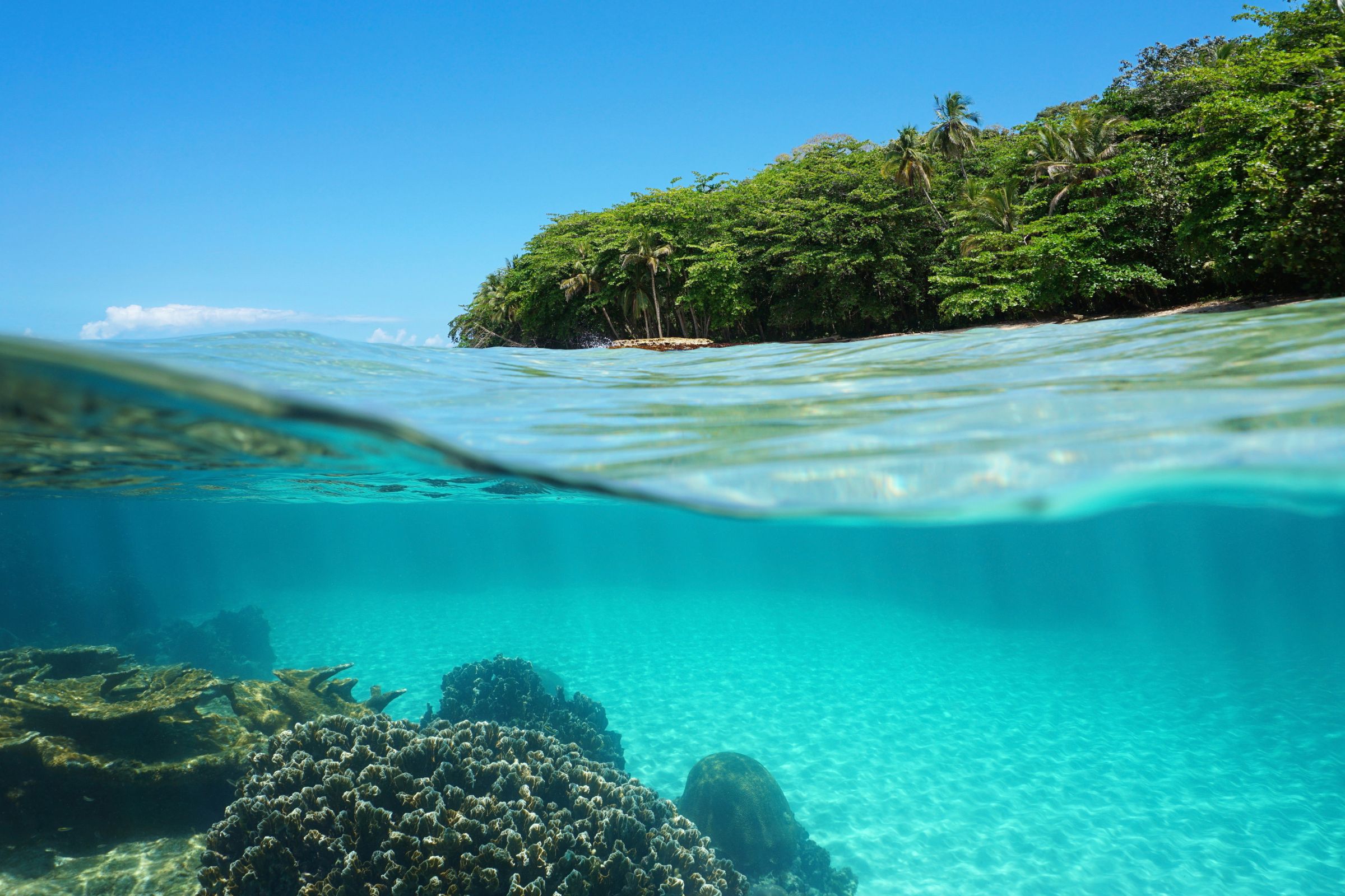 Rejser til Costa Rica, Snorkling i Costa Rica, Rejser til Cahuita