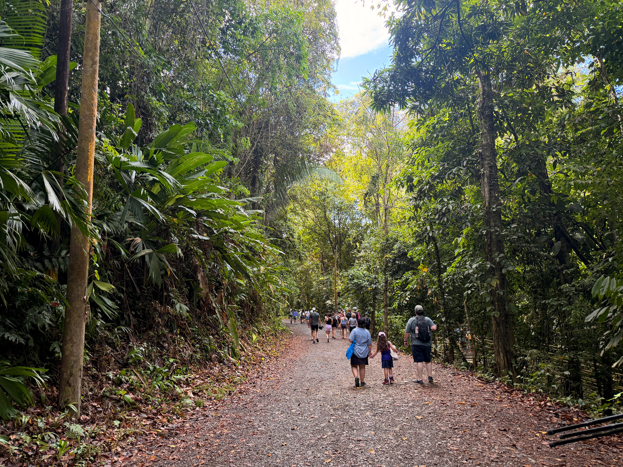 Manuel Antonio Rejser til Costa Rica med børn - rejseblog om Costa Rica - C&C Travel