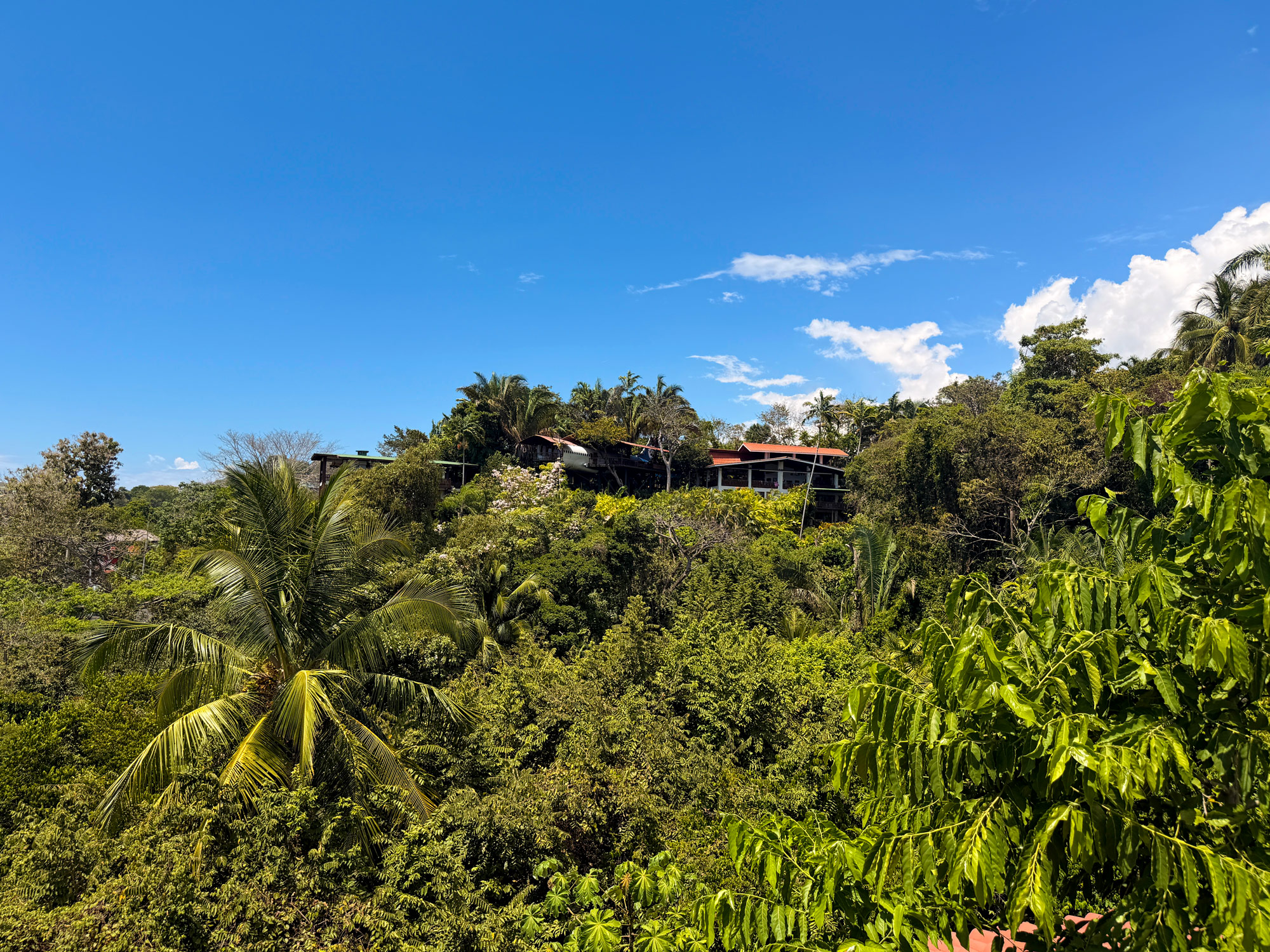 Hotel Costa Verde i Manuel Antonio Rejser til Costa Rica med børn - rejseblog om Costa Rica - C&C Travel