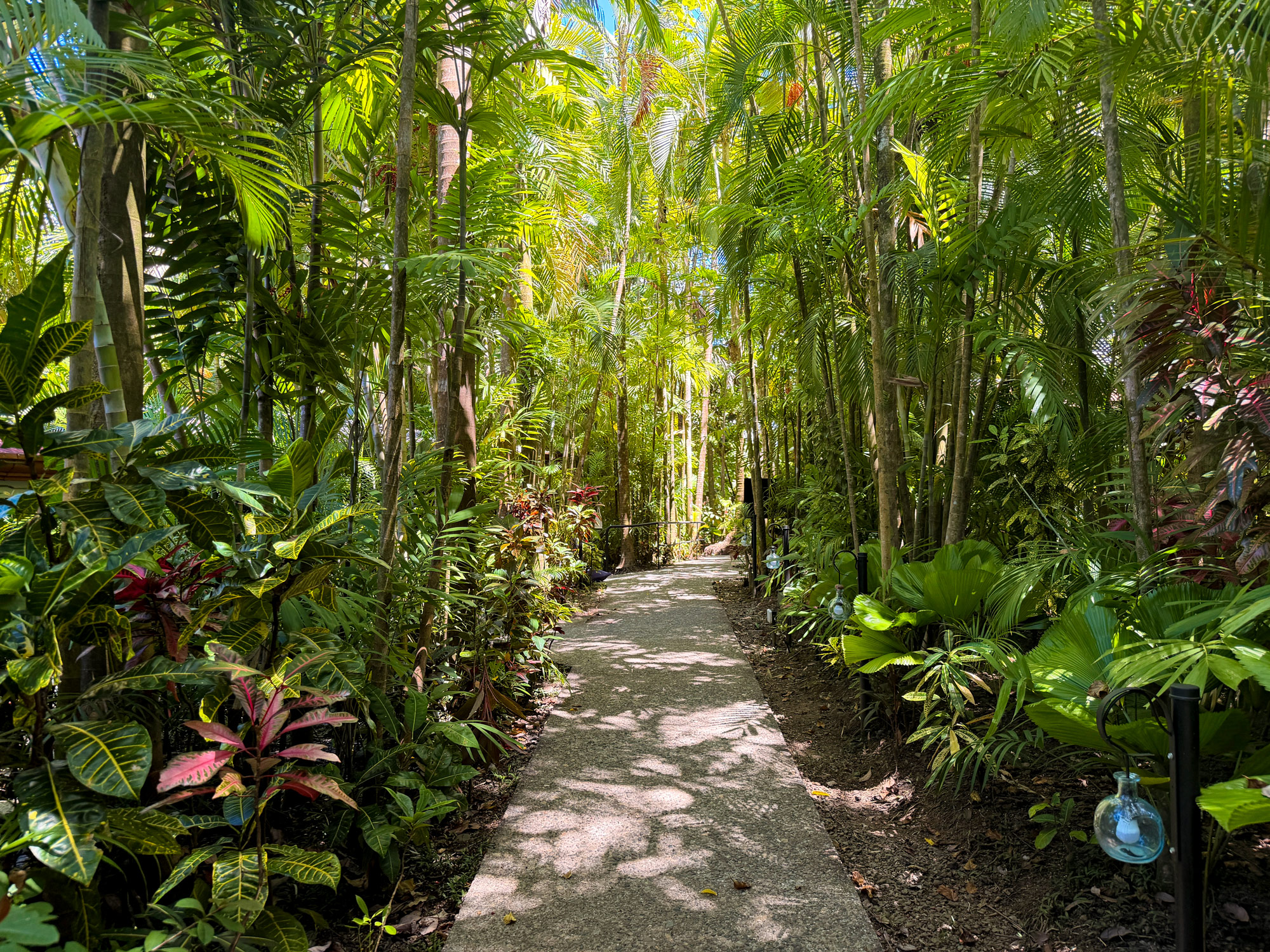 Hotel Costa Verde i Manuel Antonio Rejser til Costa Rica med børn - rejseblog om Costa Rica - C&C Travel