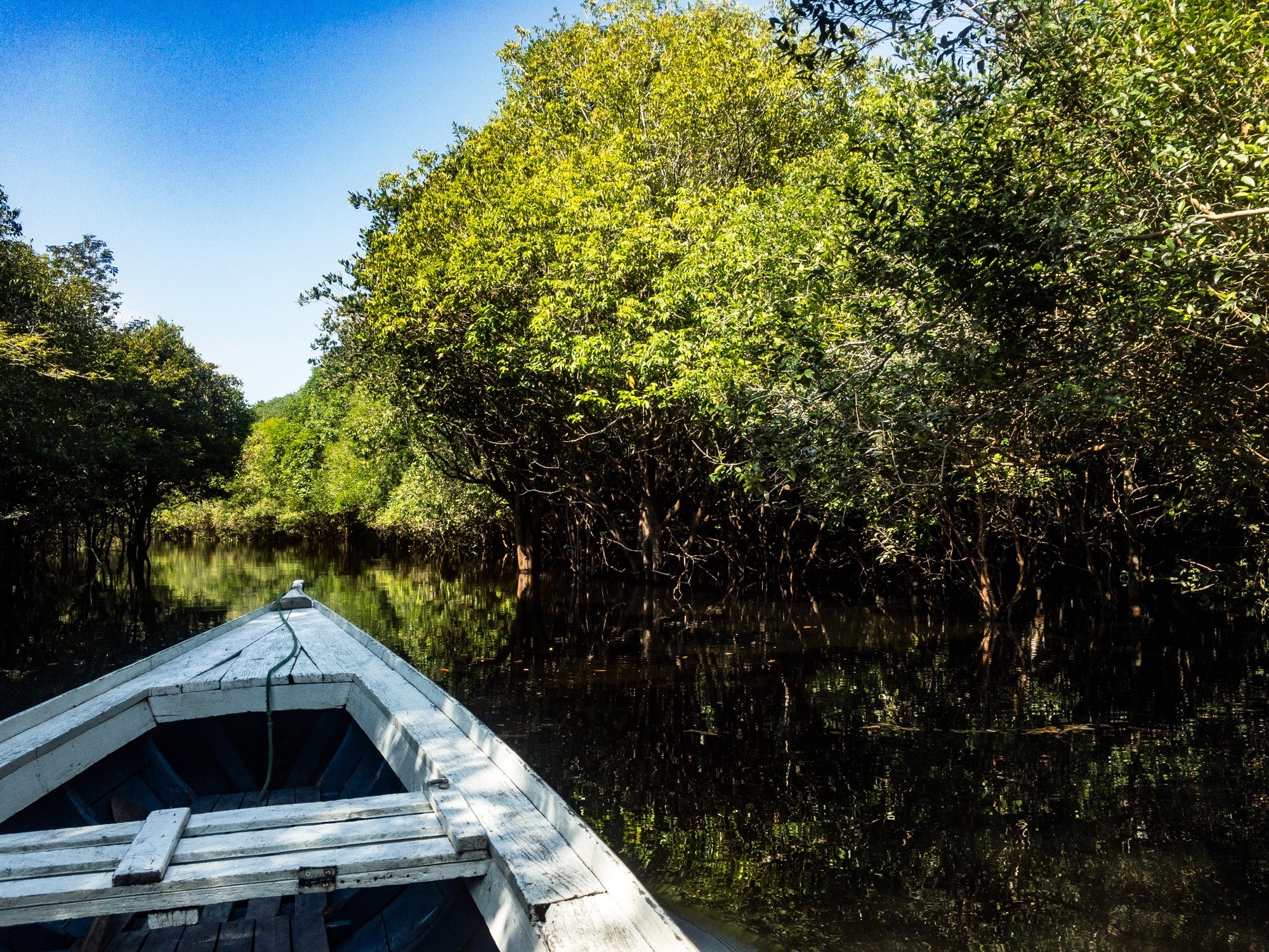 Rejser til Amazonas i Brasilien Rejser til Amazonas i Brasilien