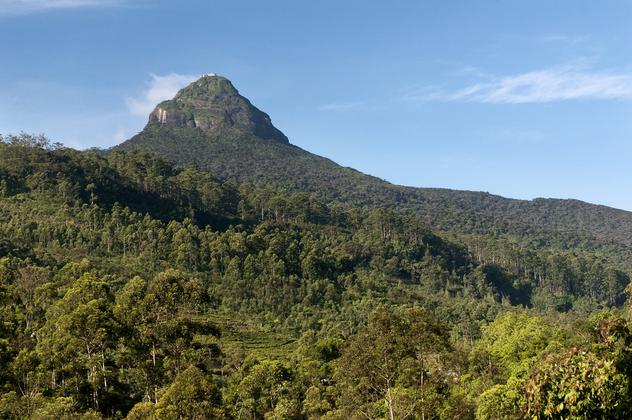 Rejser til Sri Lanka Adams Peak