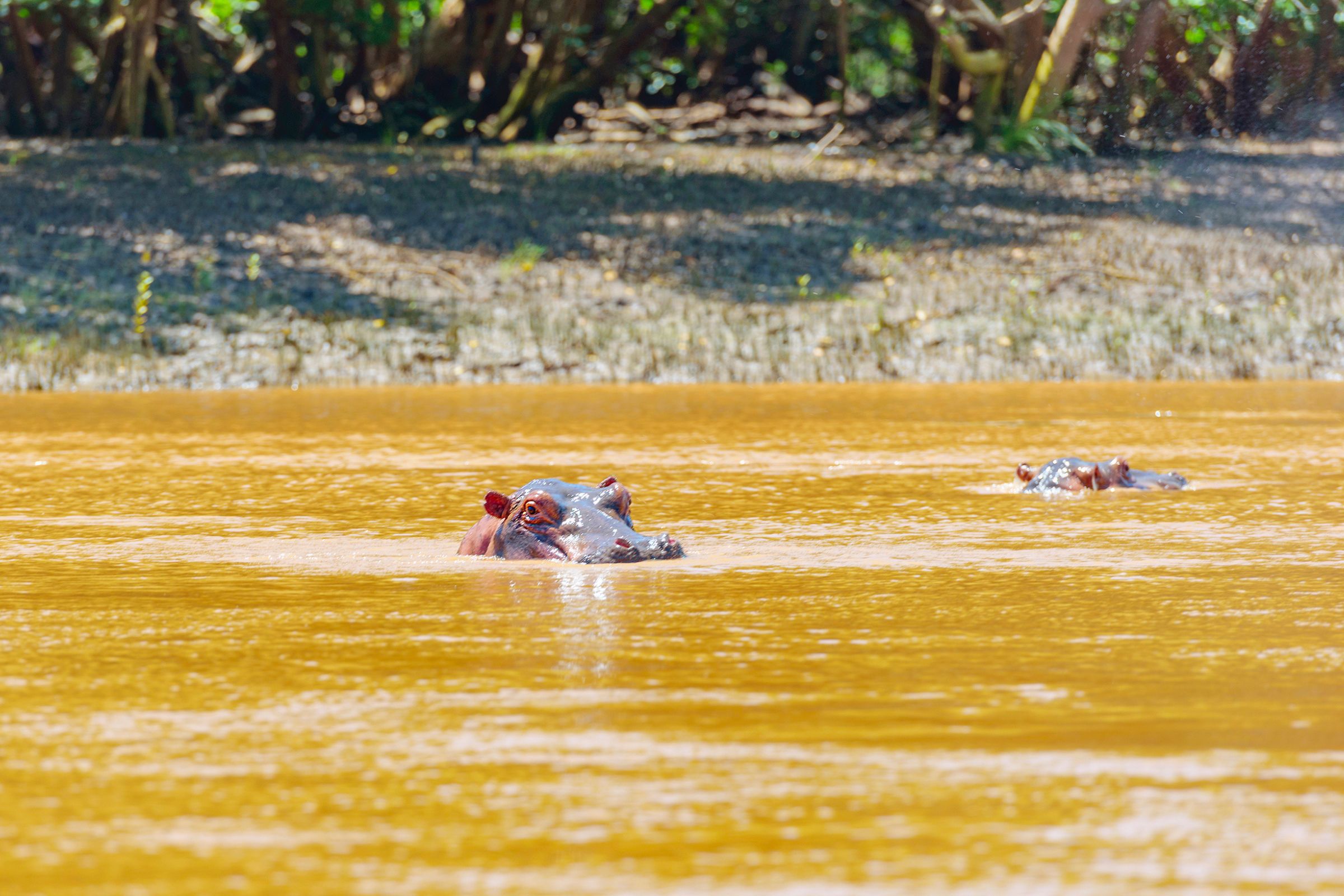 Design uden navn - 2025-04-02T093254.605 Design uden navn - 2025-04-02T093254.605