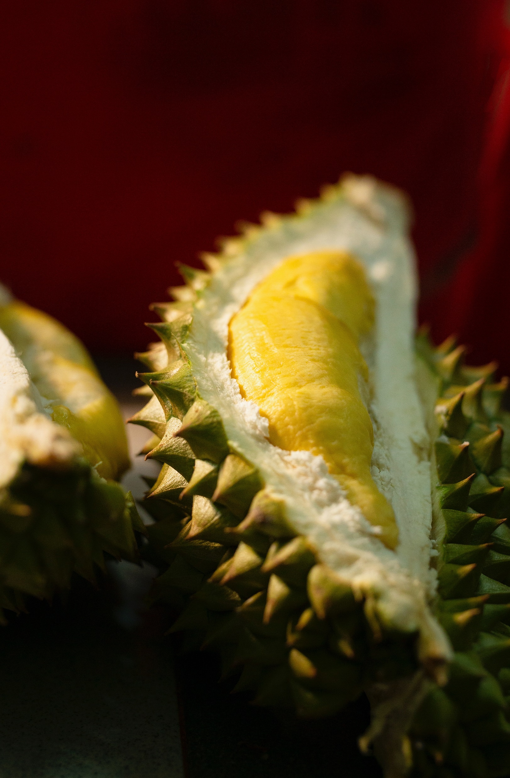 Durian frugt