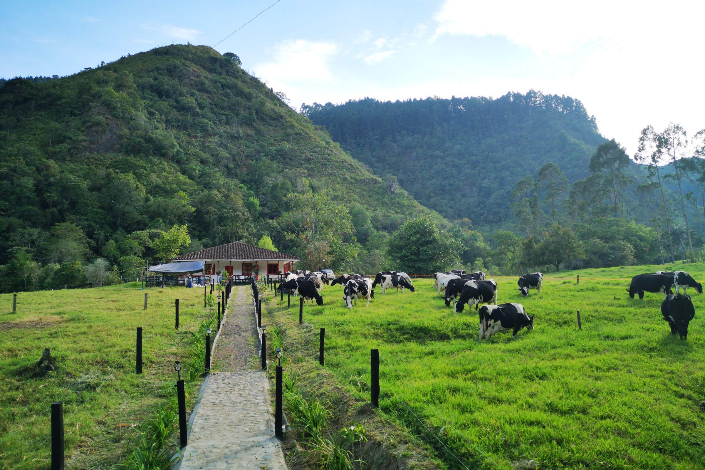 Colombia - oplev Zona Cafetera Colombia - oplev Zona Cafetera