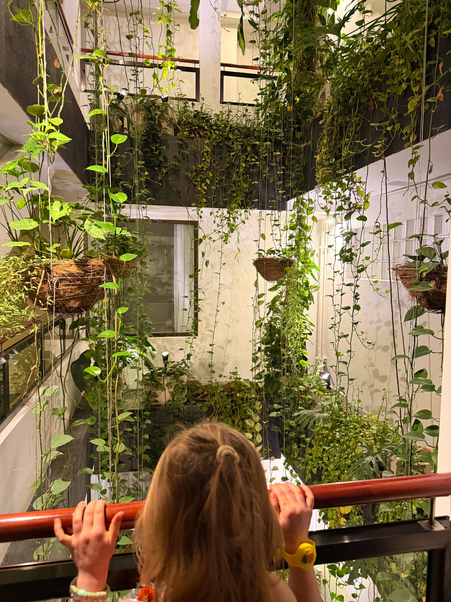 Hotel Presidente i San José Rejser til Costa Rica med børn - rejseblog om Costa Rica - C&C Travel