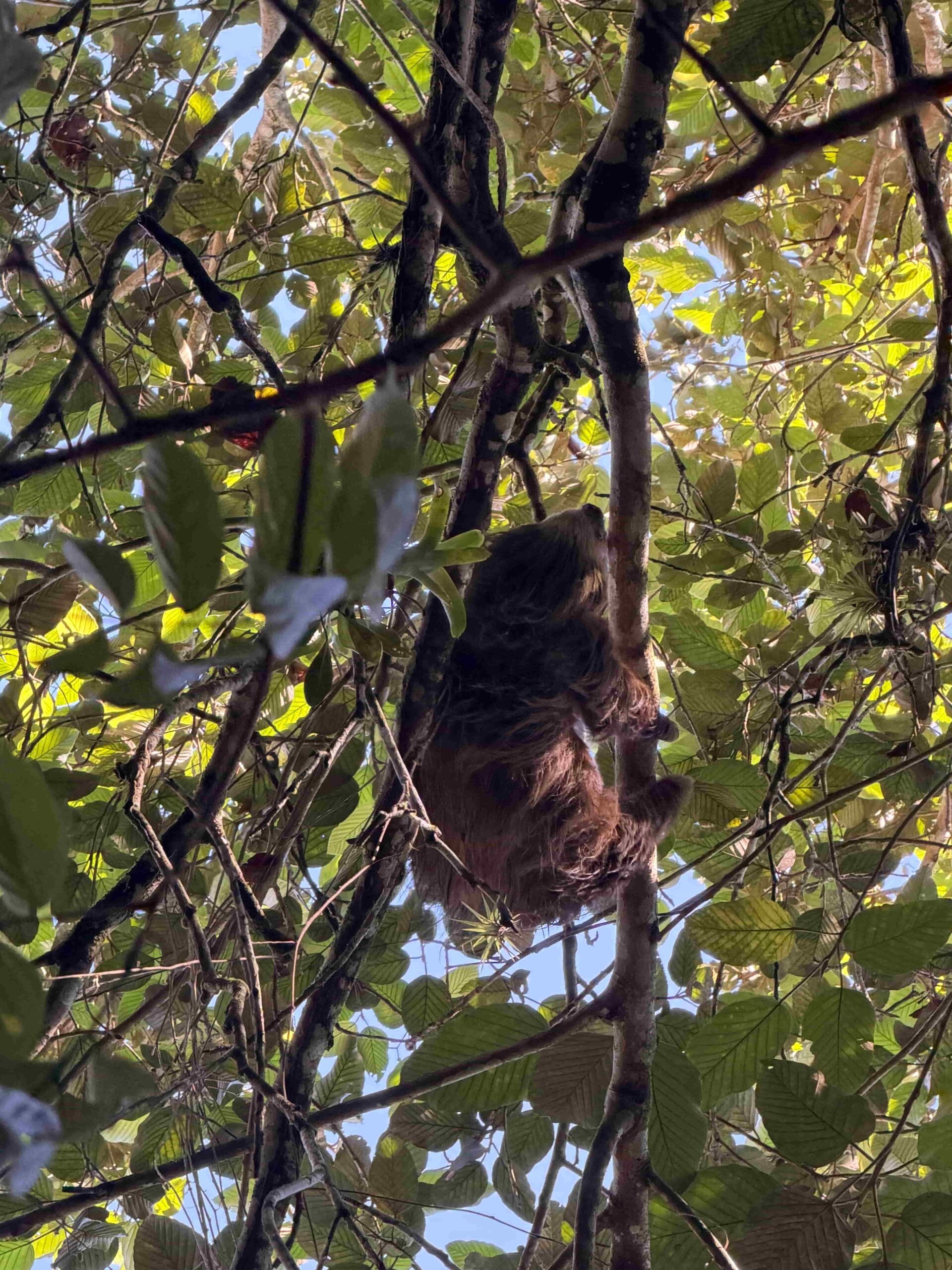 Rejser til Costa Rica, Rejser til Tortuguero