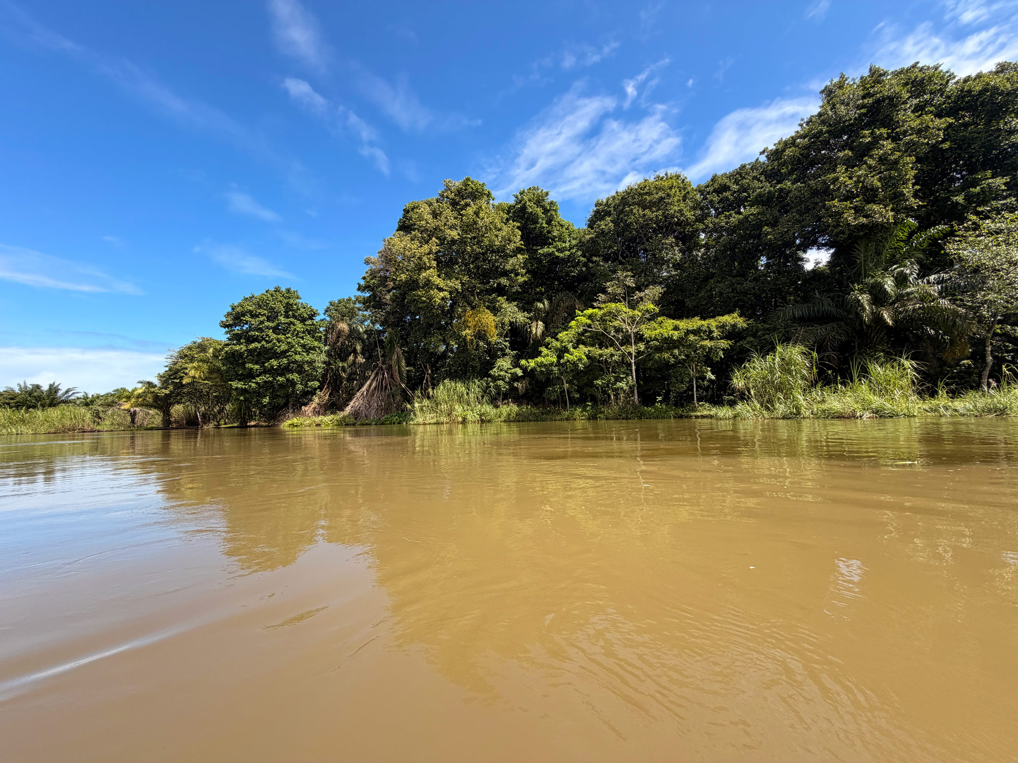 Tortuguero Nationalpark Rejser til Costa Rica med børn - rejseblog om Costa Rica - C&C Travel