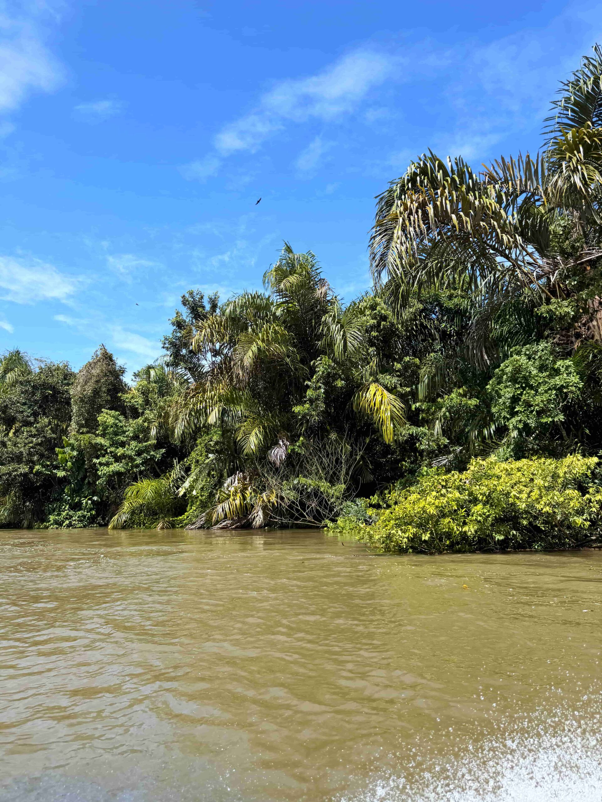 Rejser til Costa Rica, Rejser til Tortuguero
