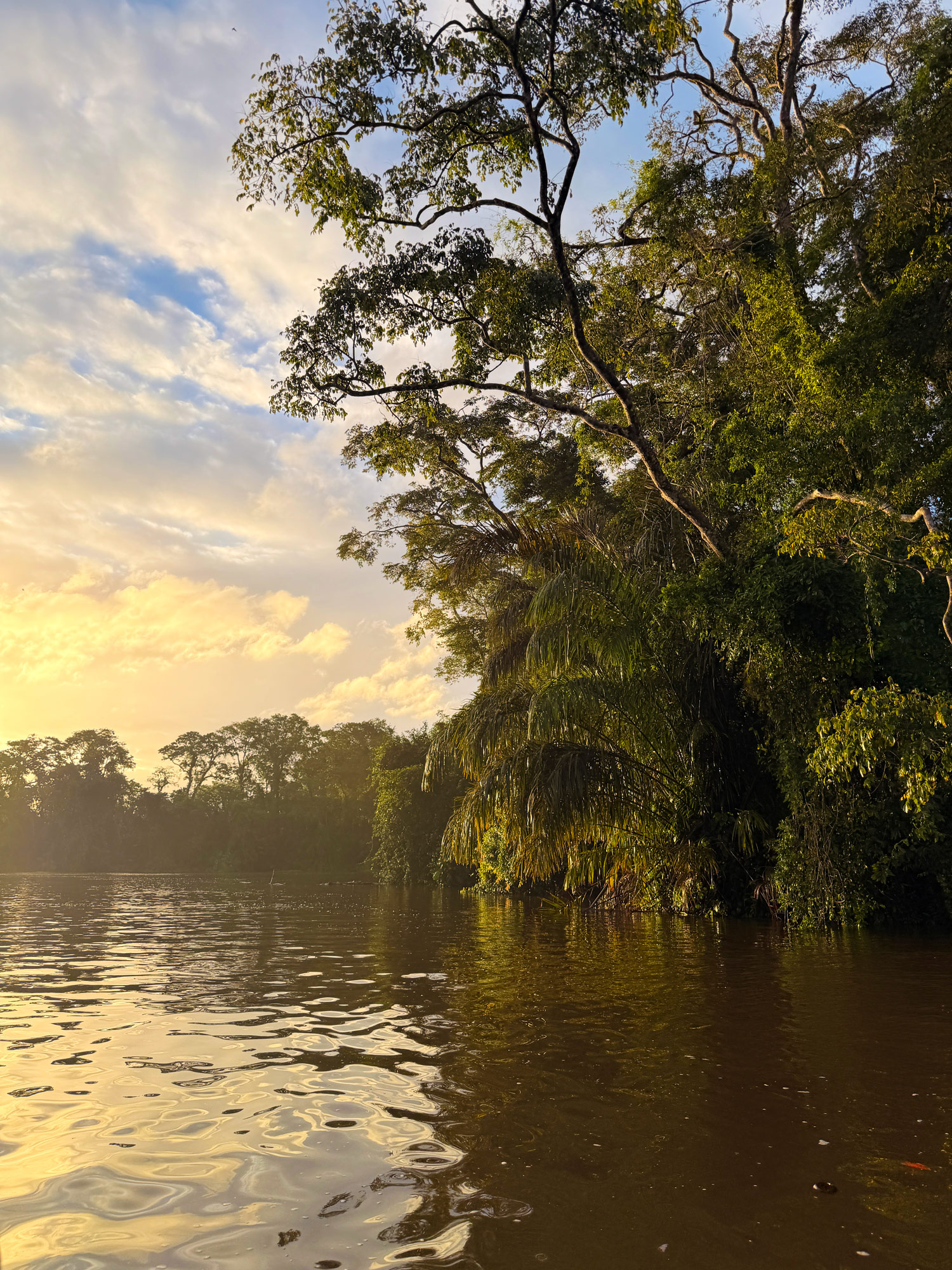 Tortuguero Nationalpark Rejser til Costa Rica med børn - rejseblog om Costa Rica - C&C Travel