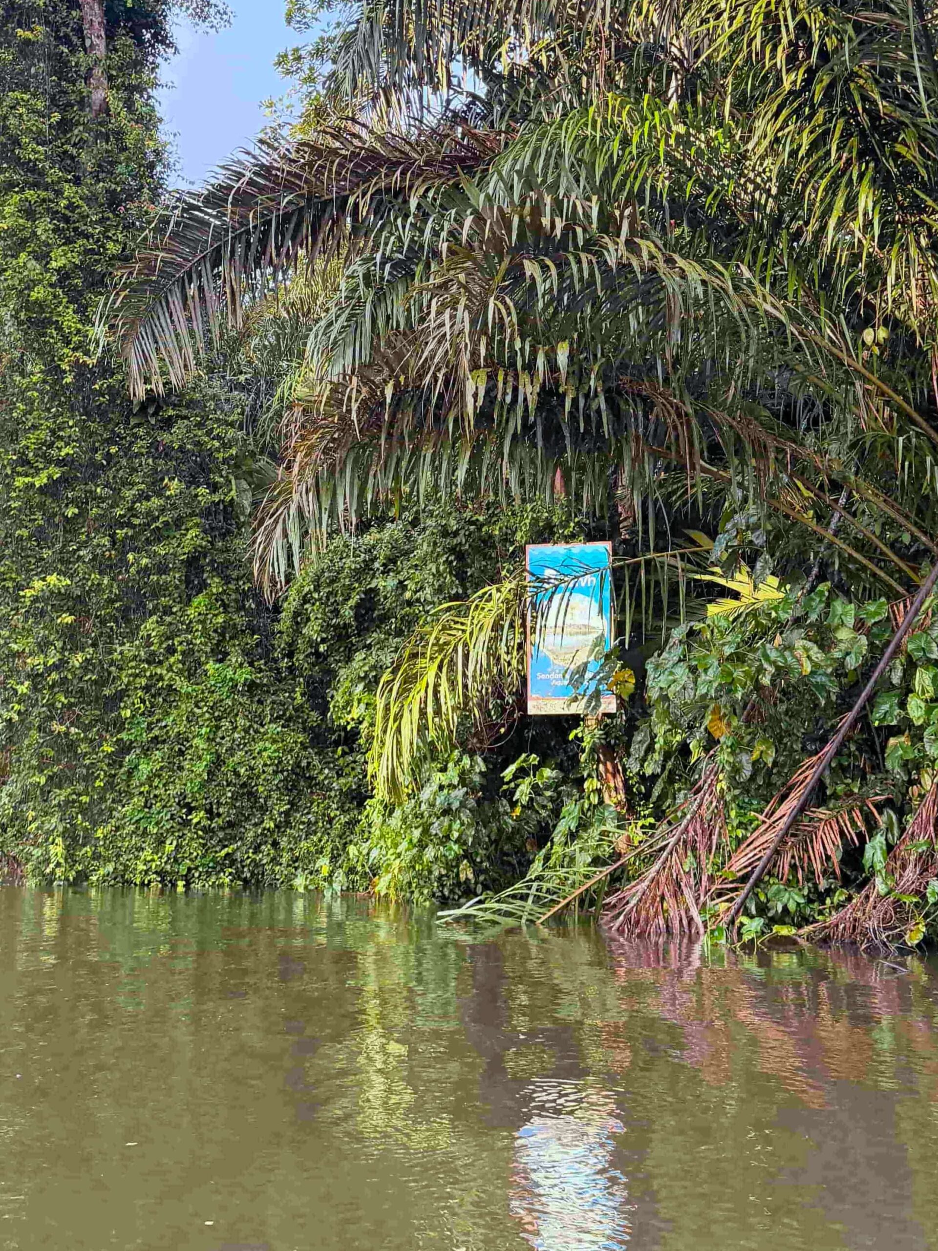 Rejser til Costa Rica, Rejser til Tortuguero