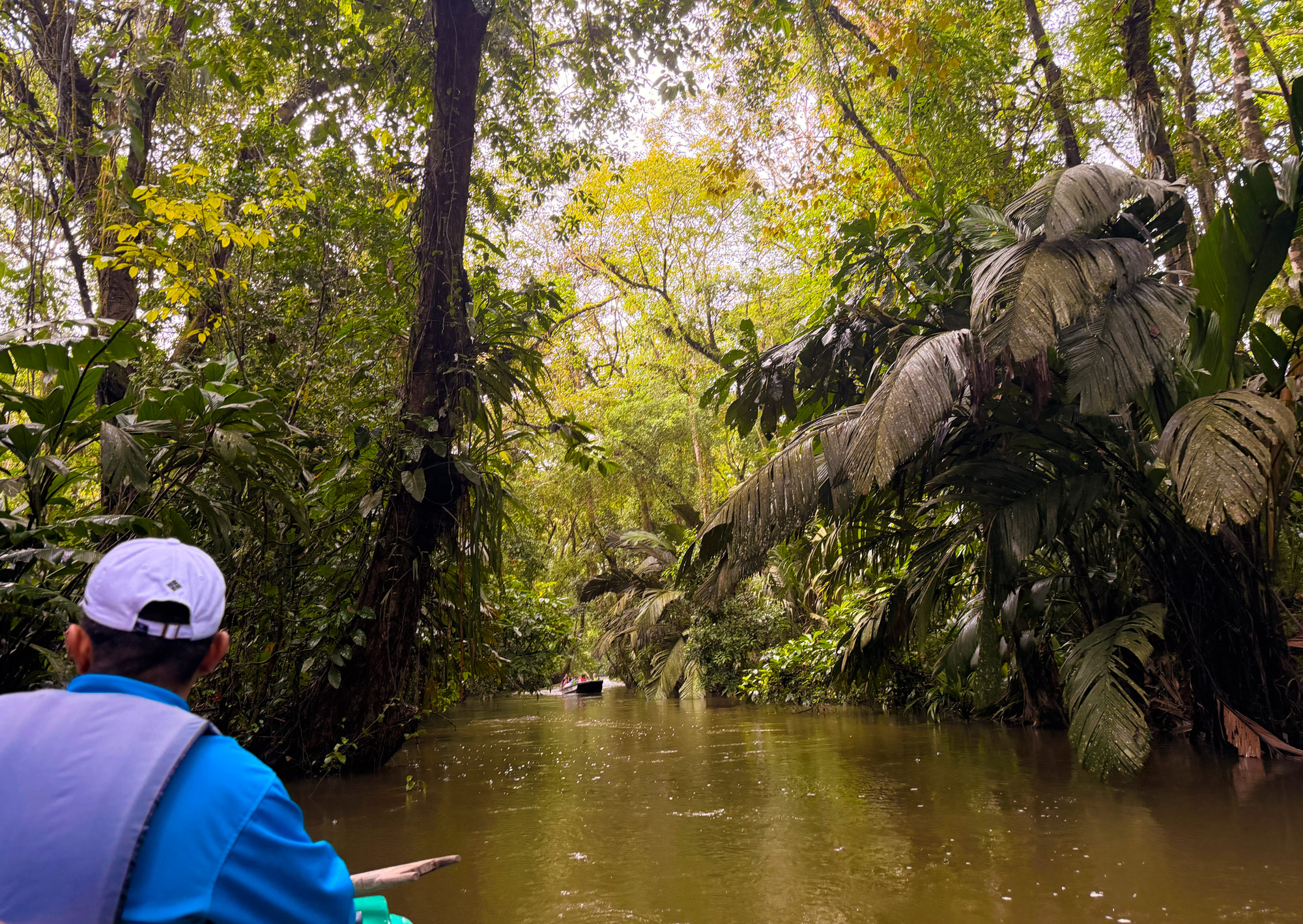 Tortuguero Nationalpark Rejser til Costa Rica med børn - rejseblog om Costa Rica - C&C Travel