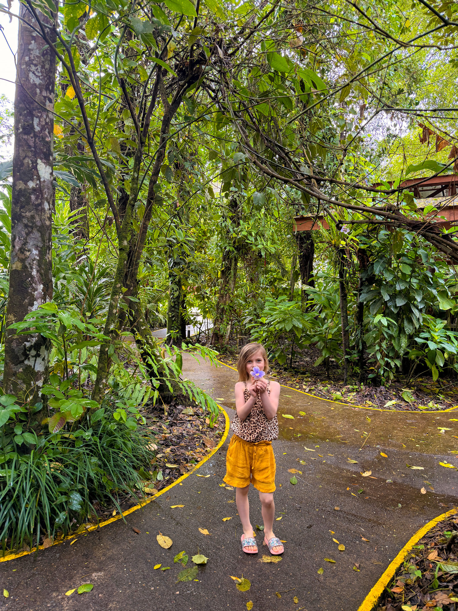 Pachira Lodge i Tortuguero Rejser til Costa Rica med børn - rejseblog om Costa Rica - C&C Travel