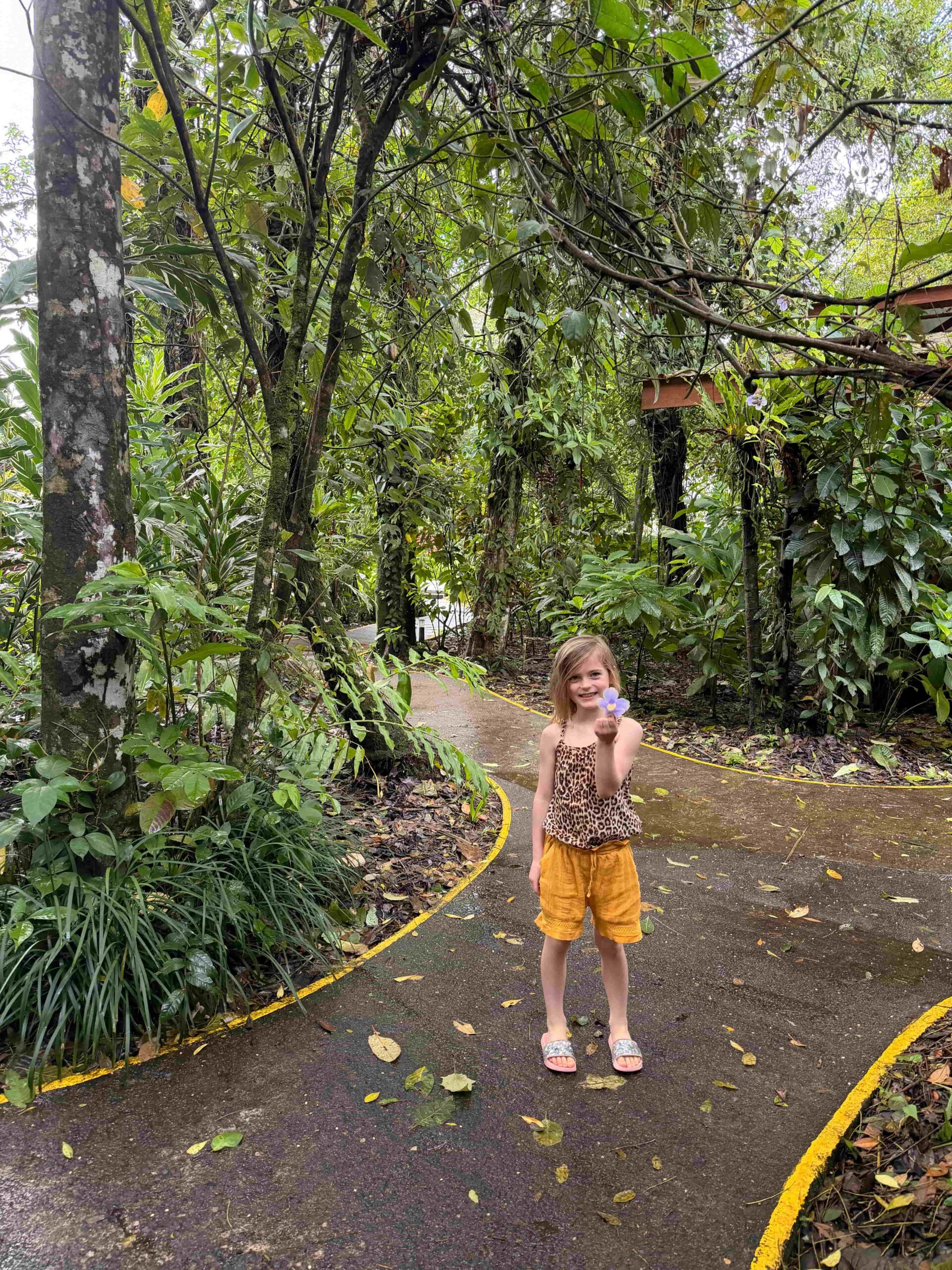 Rejser til Costa Rica, Rejser til Tortuguero