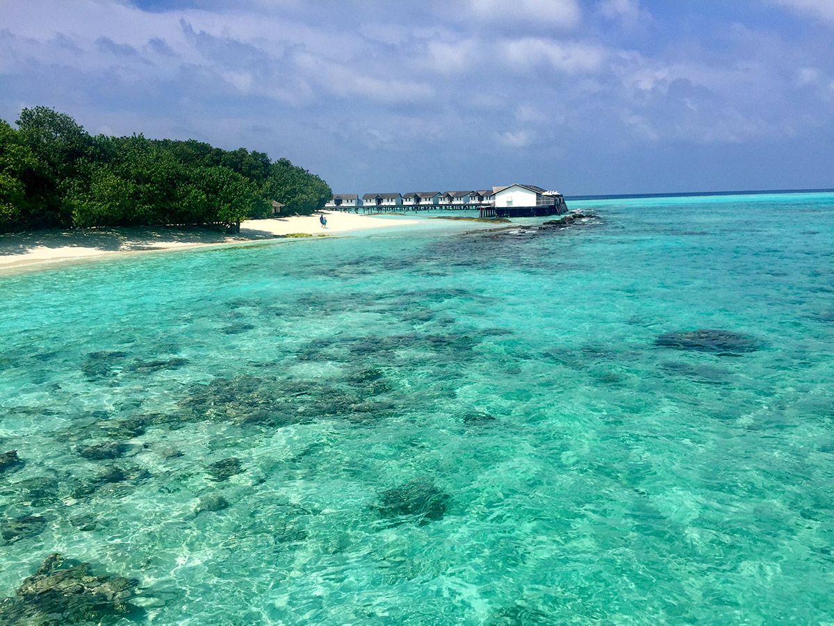 Rejser til Sri Lanka - Rejser til Maldiverne