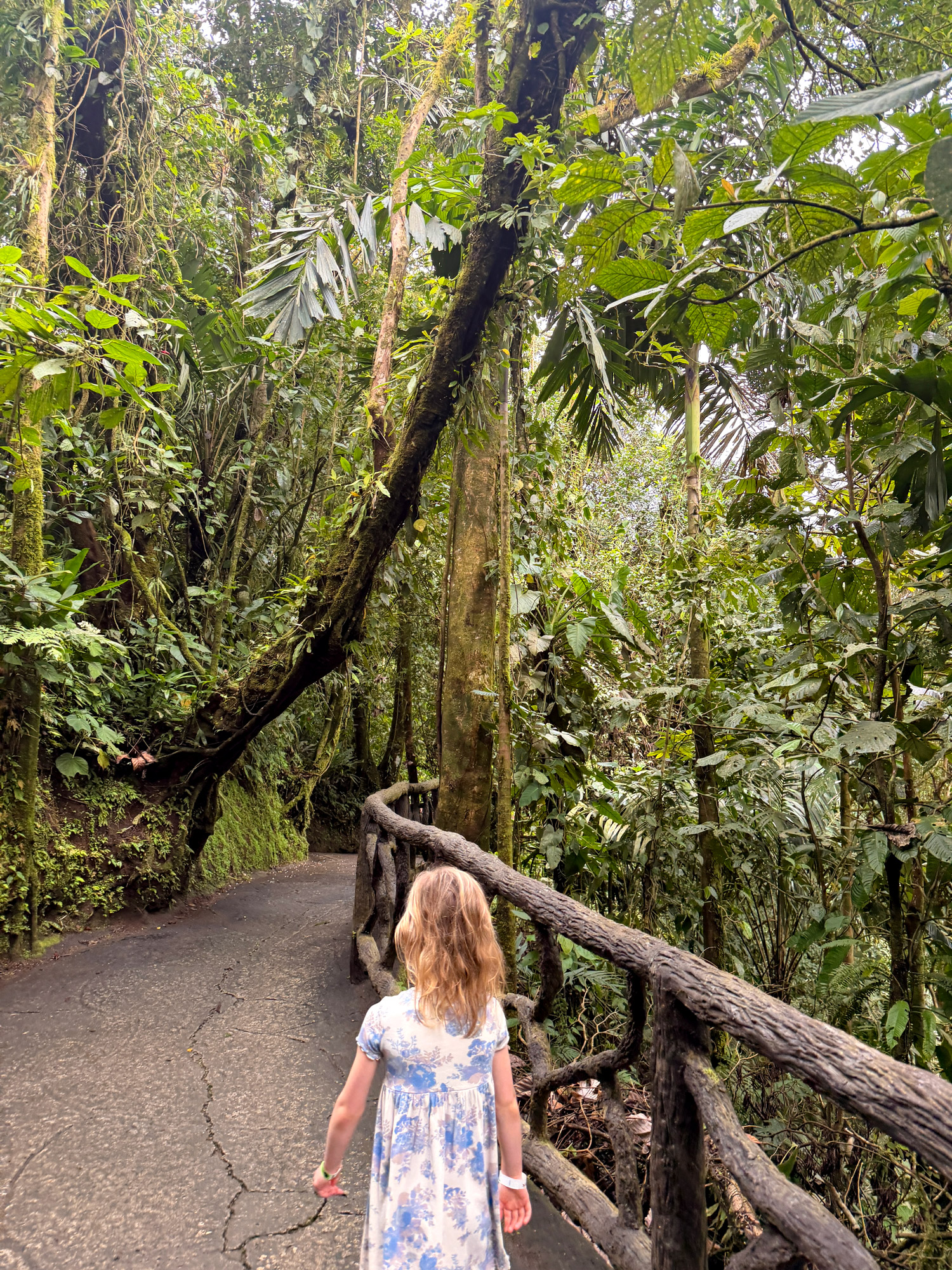 Arenal Rejser til Costa Rica med børn - rejseblog om Costa Rica - C&C Travel