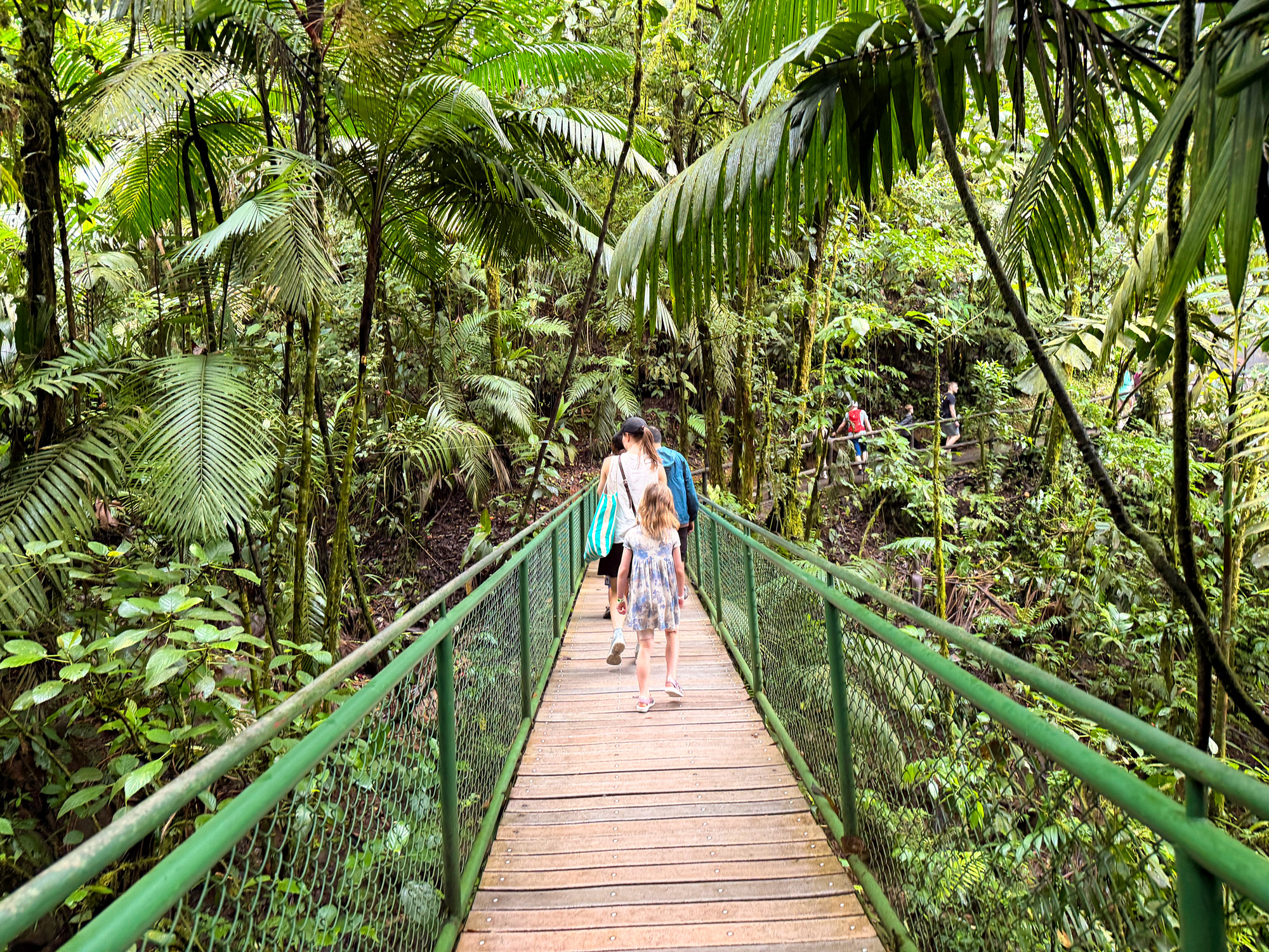 Hængebroer i Arenal Rejser til Costa Rica med børn - rejseblog om Costa Rica - C&C Travel