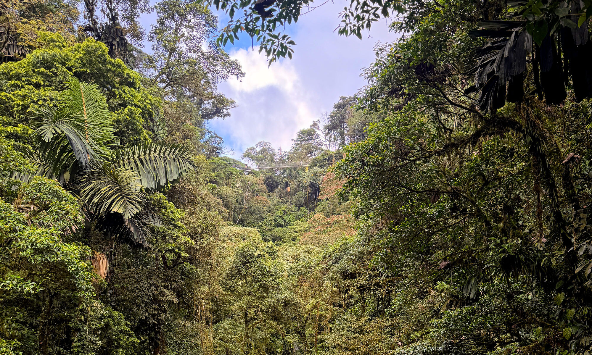 Hængebroer i Arenal Rejser til Costa Rica med børn - rejseblog om Costa Rica - C&C Travel