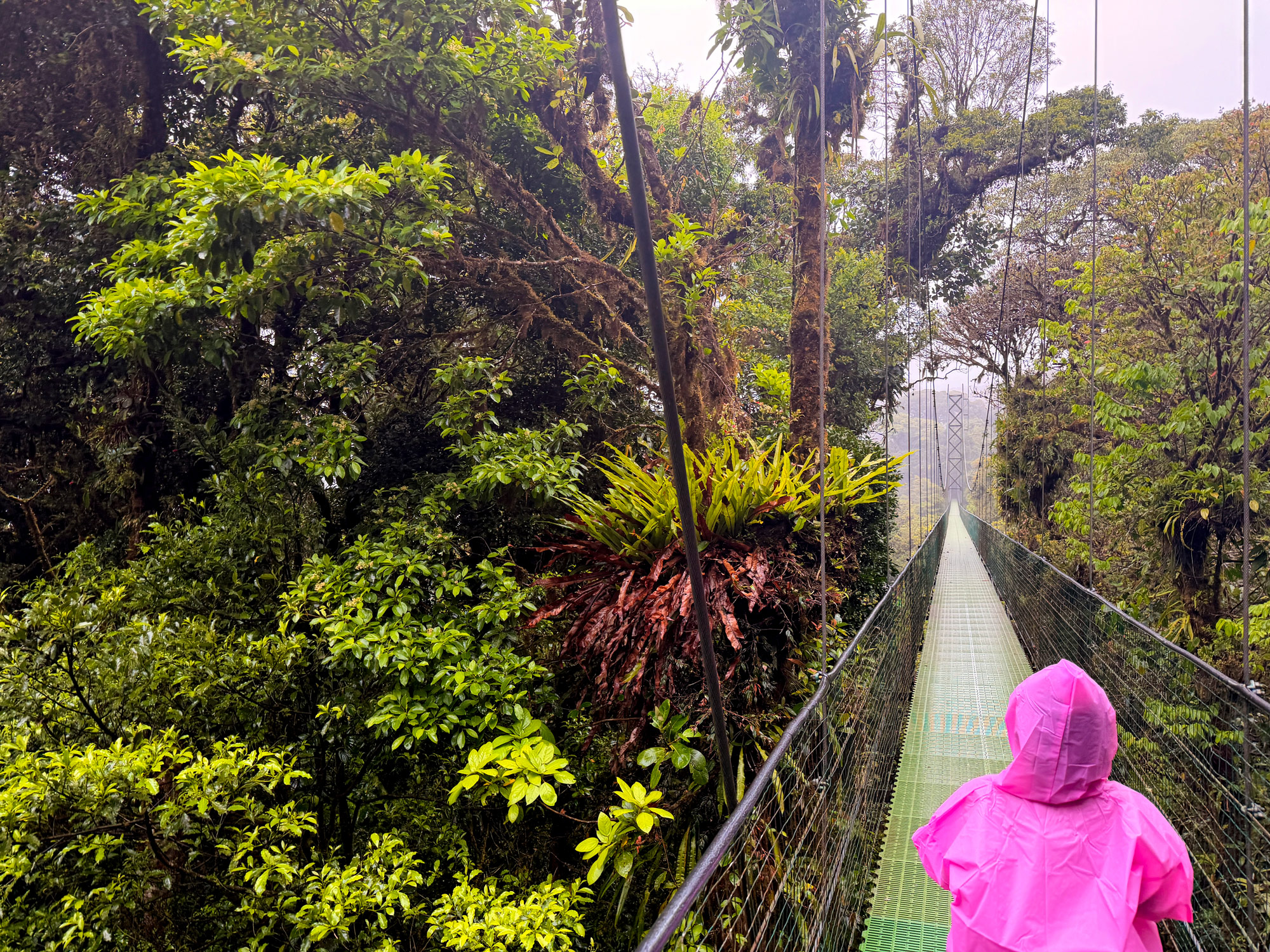Hængebroer i Monteverde Rejser til Costa Rica med børn - rejseblog om Costa Rica - C&C Travel
