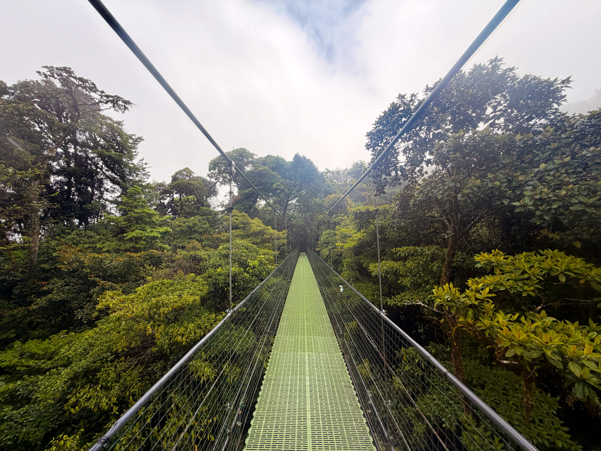 Hængebroer i Monteverde Rejser til Costa Rica med børn - rejseblog om Costa Rica - C&C Travel