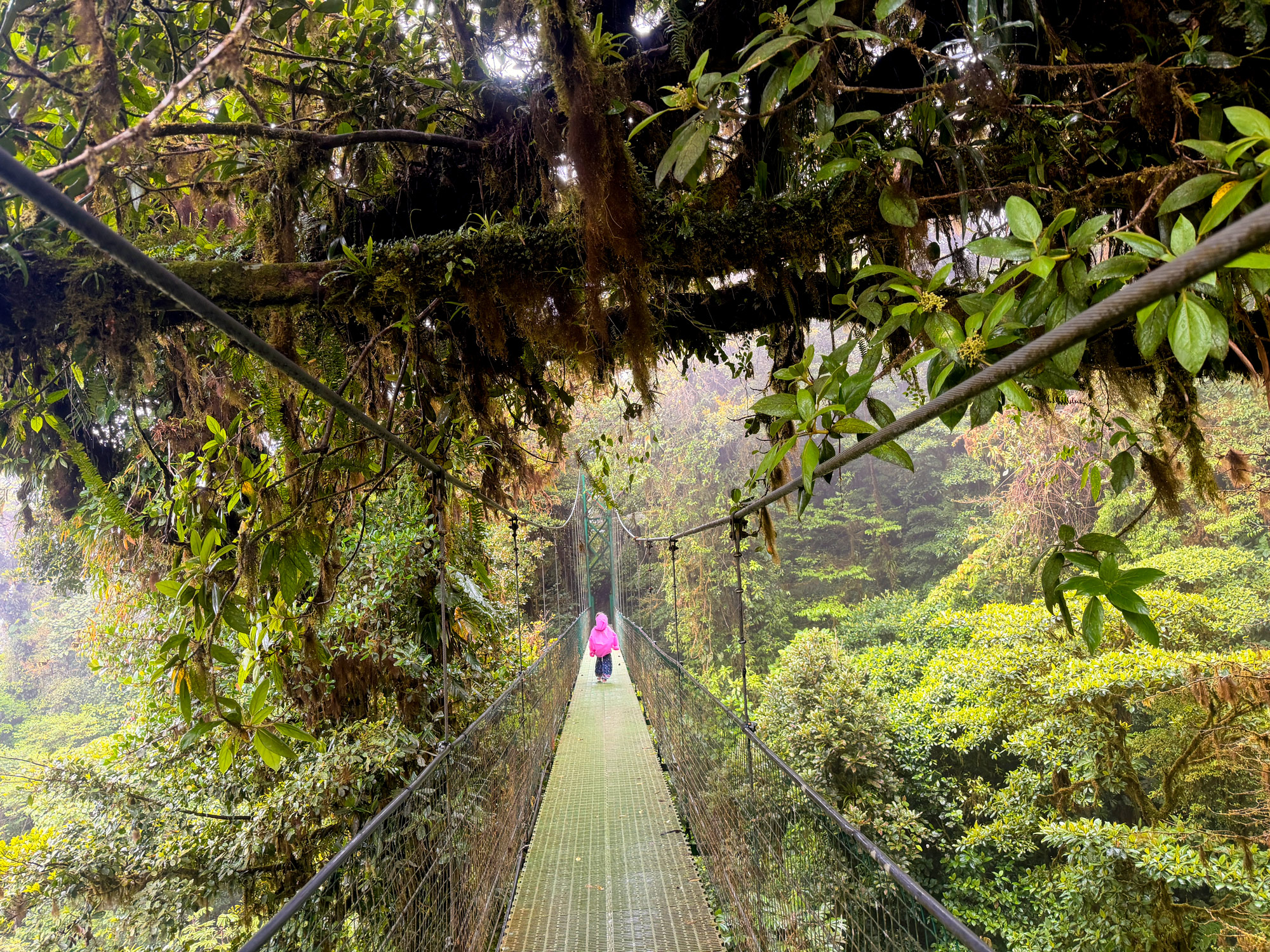 Hængebroer i Monteverde Rejser til Costa Rica med børn - rejseblog om Costa Rica - C&C Travel