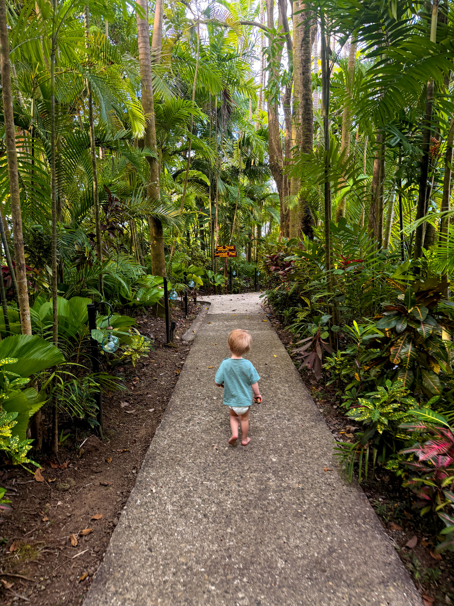 Hotel Costa Verde i Manuel Antonio Rejser til Costa Rica med børn - rejseblog om Costa Rica - C&C Travel