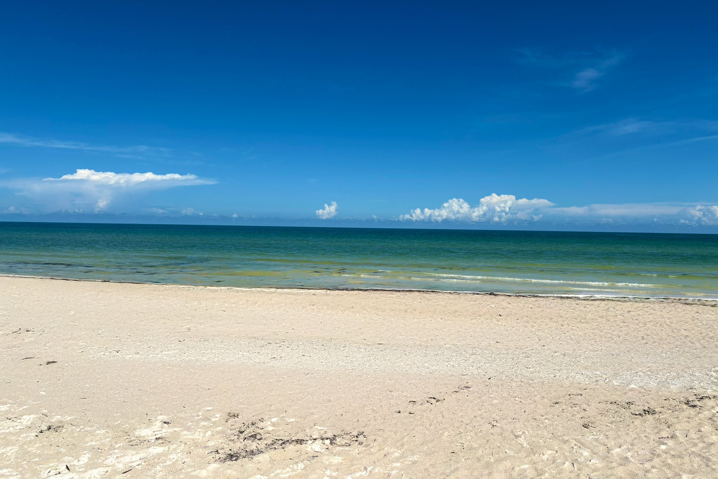 Rejser til El Cuyo i Mexico Rejser til El Cuyo i Mexico