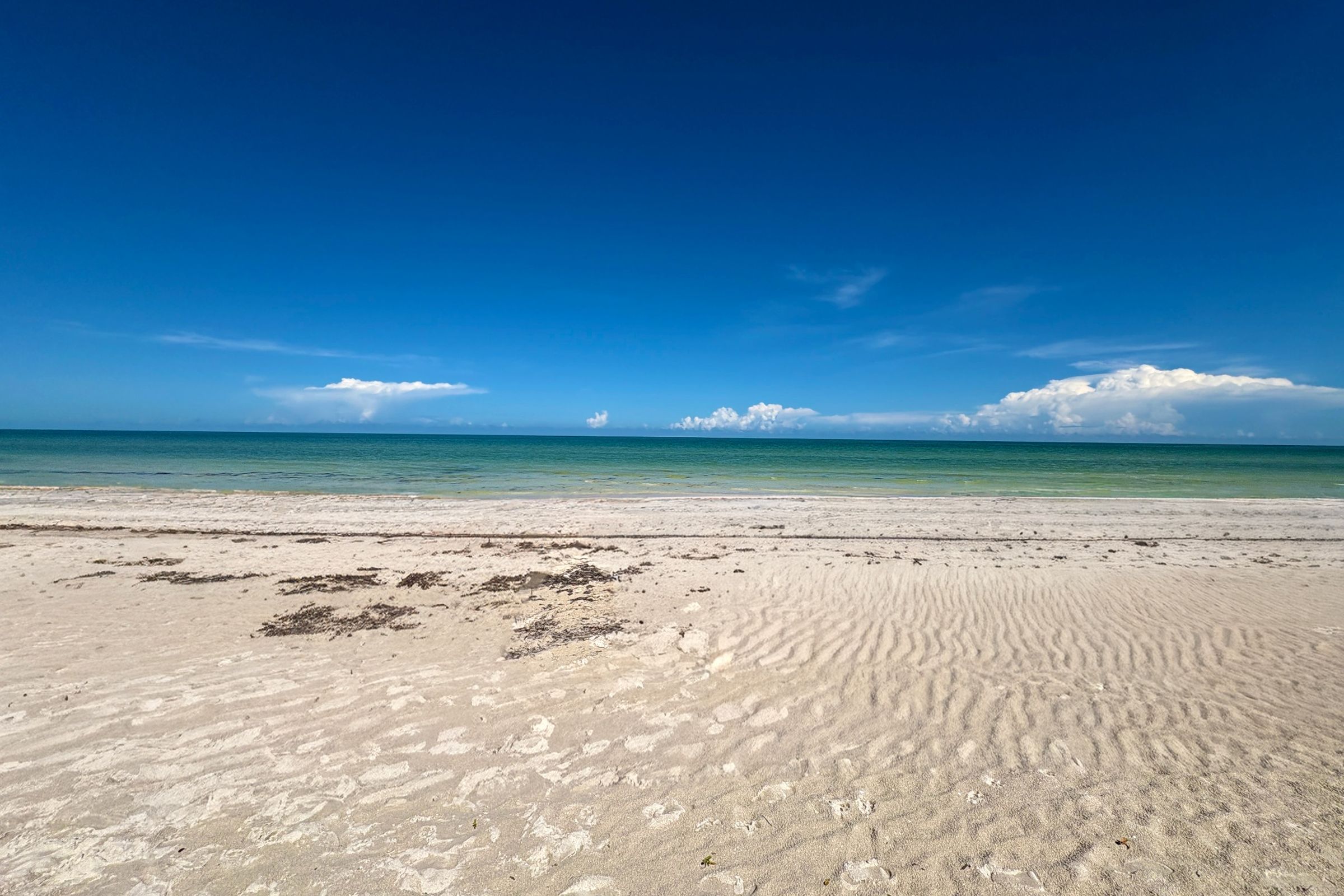 Rejser til El Cuyo i Mexico Rejser til El Cuyo i Mexico