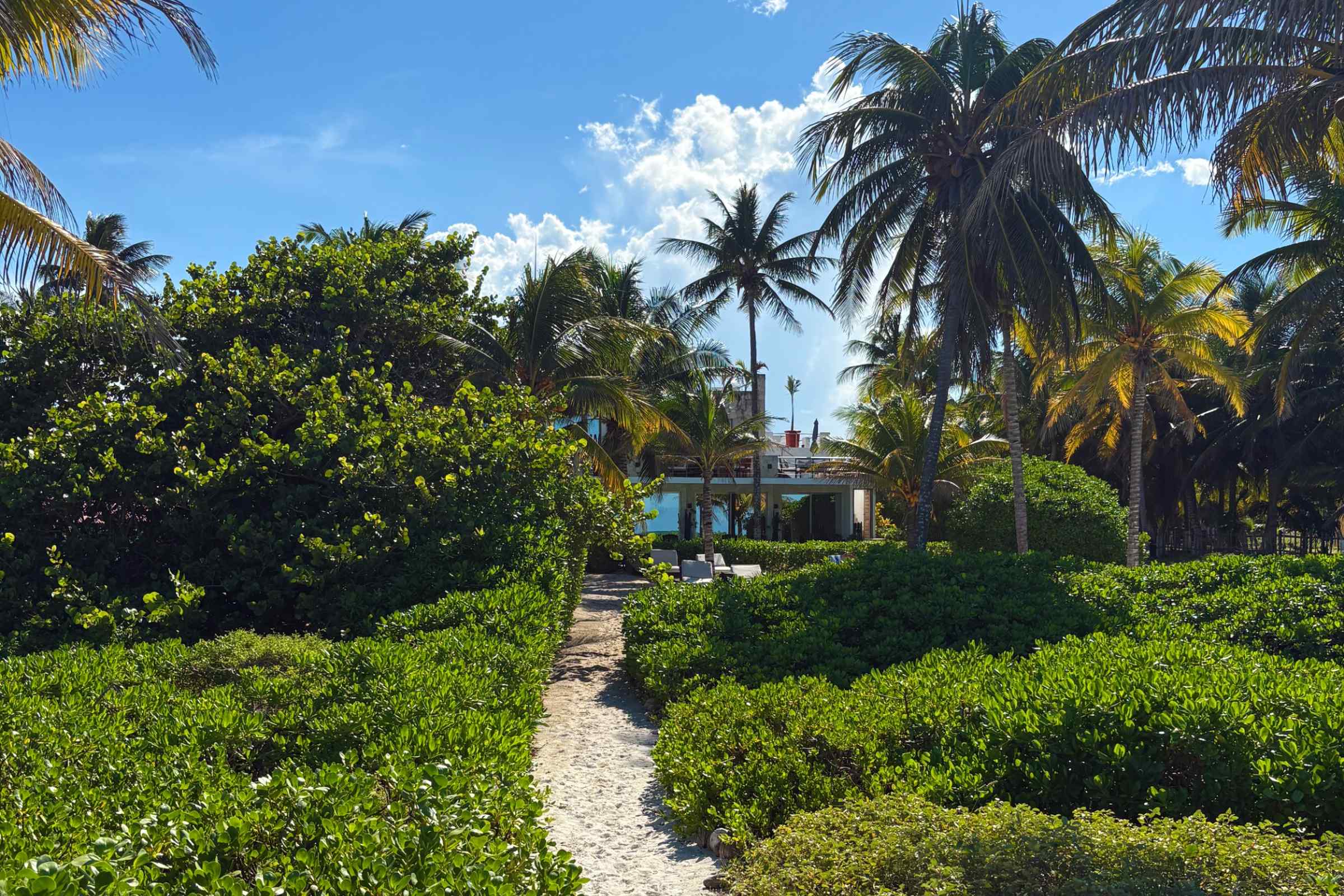 Rejser til El Cuyo i Mexico Rejser til El Cuyo i Mexico