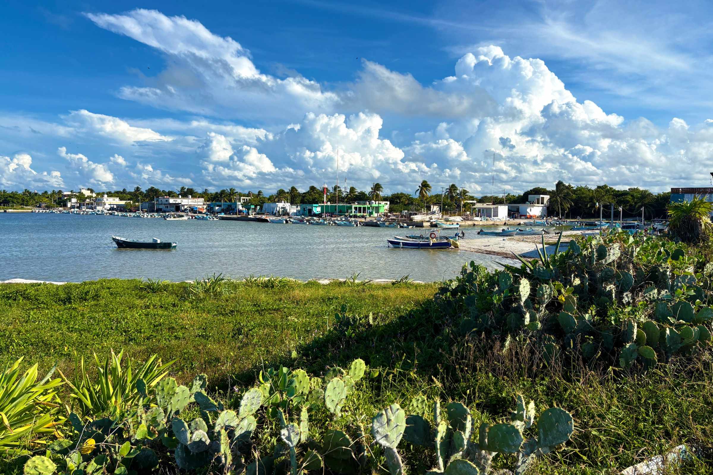 Rejser til El Cuyo i Mexico Rejser til El Cuyo i Mexico