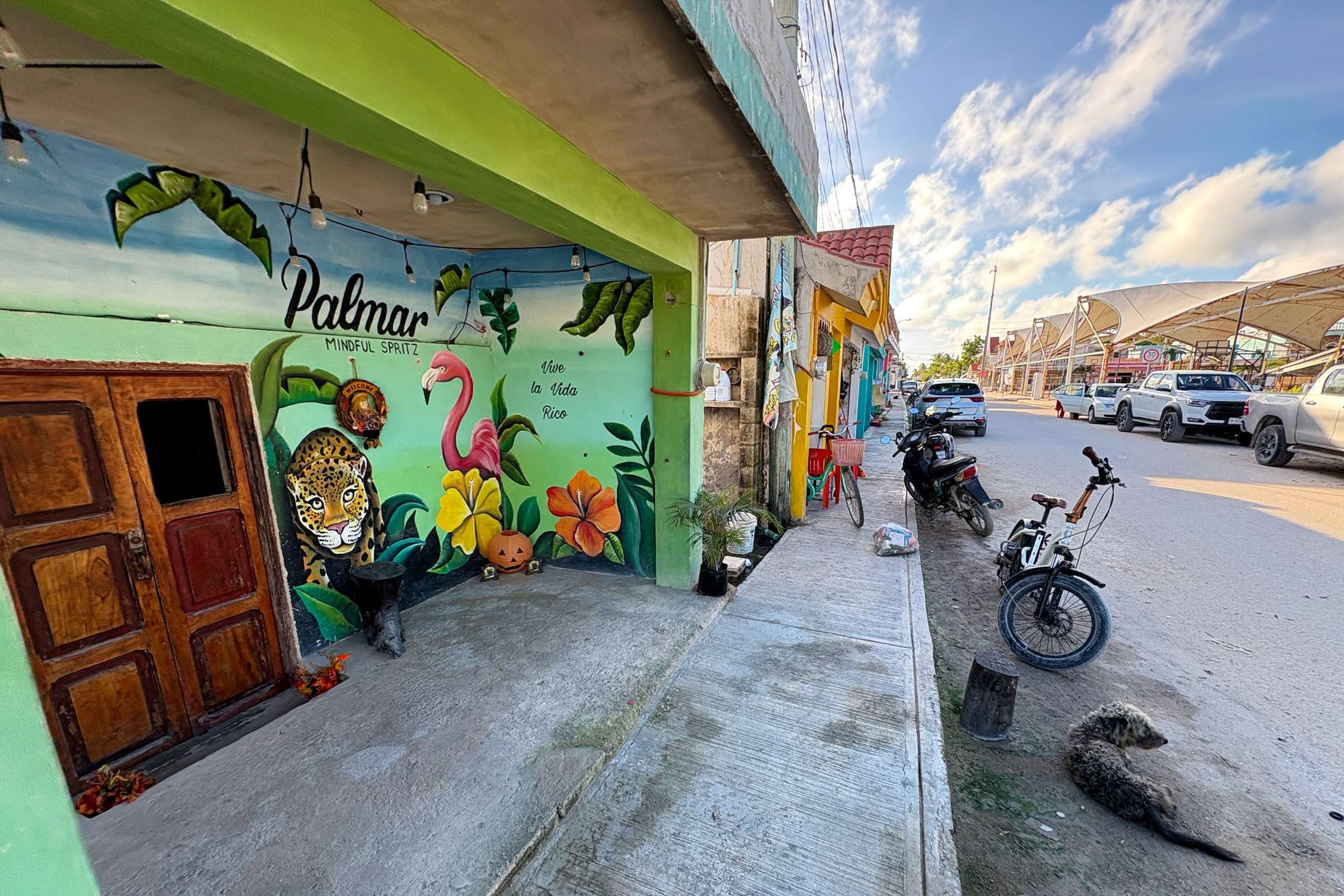 Rejser til El Cuyo i Mexico Rejser til El Cuyo i Mexico