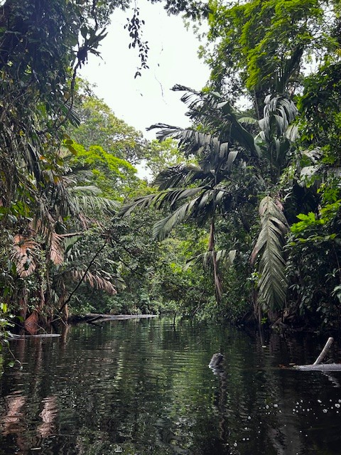 Rejser til Costa Rica, Rejser til Tortuguero