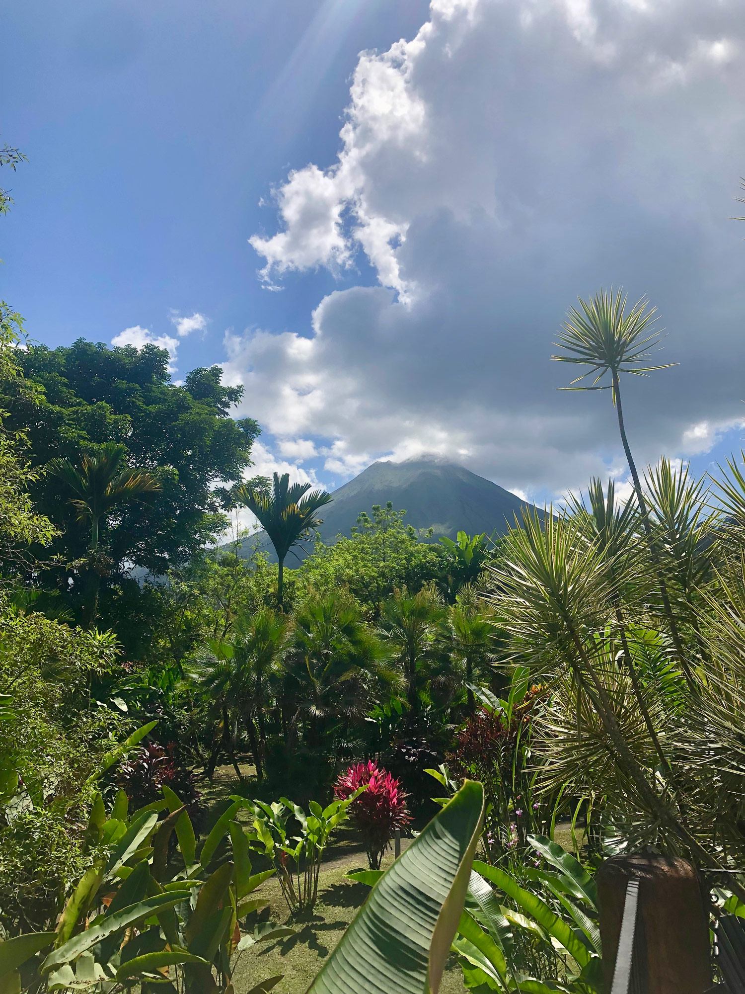 Volcano Lodge i Arenal Rejser til Costa Rica med børn - rejseblog om Costa Rica - C&C Travel