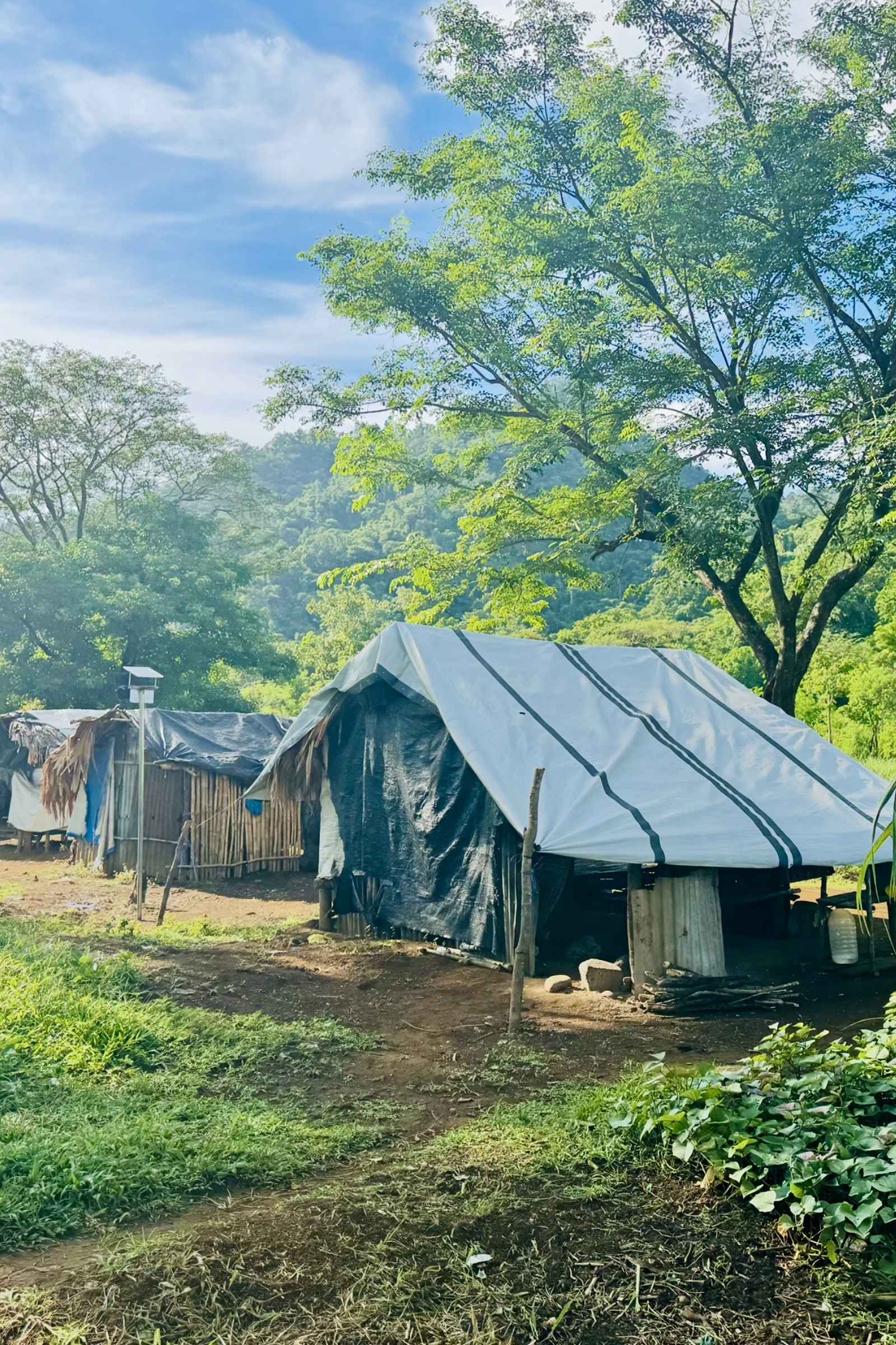 Image (39).jpg_1600x2400 Image (39).jpg_1600x2400