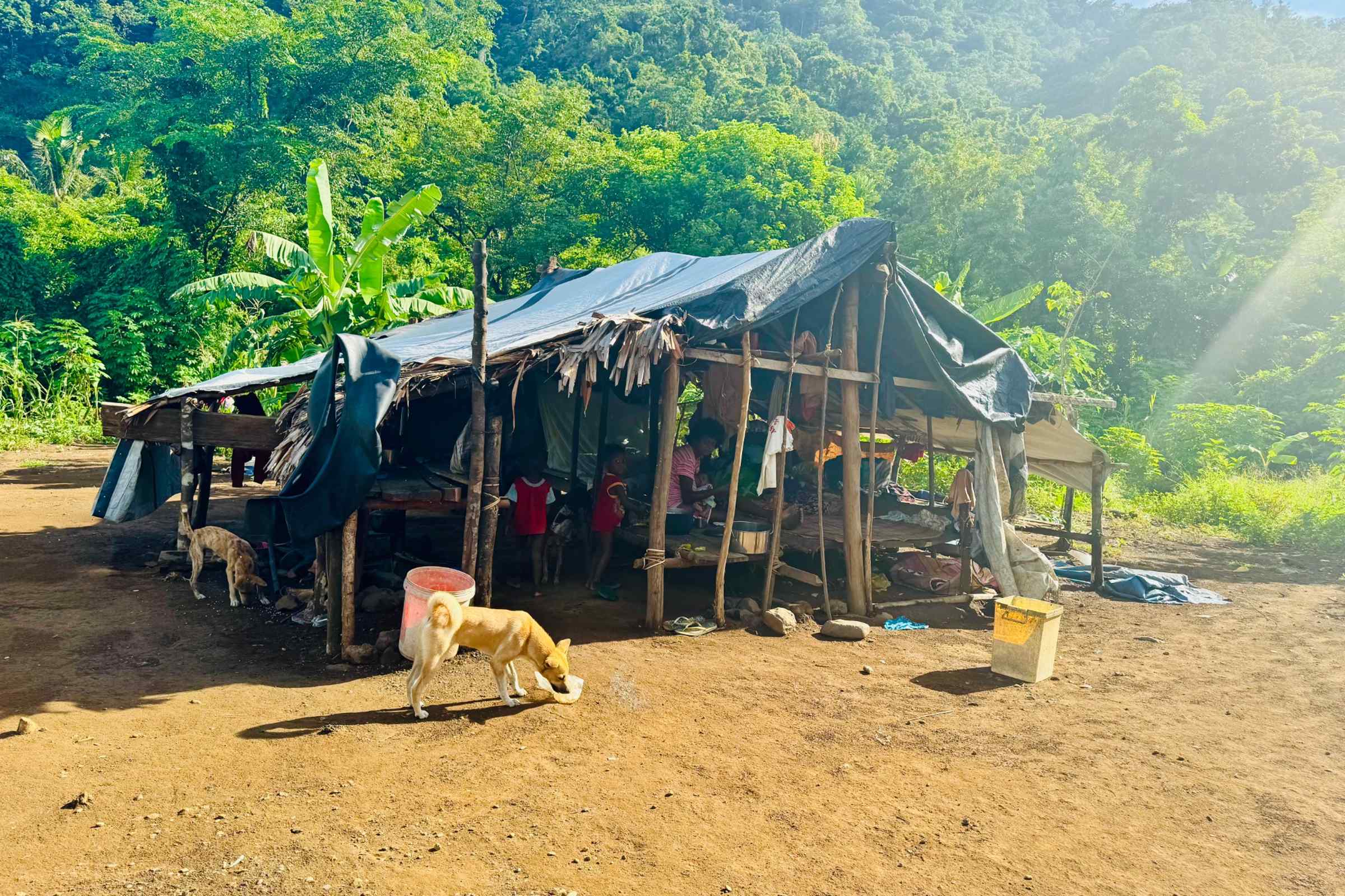 Image (41).jpg_out Image (41).jpg_out