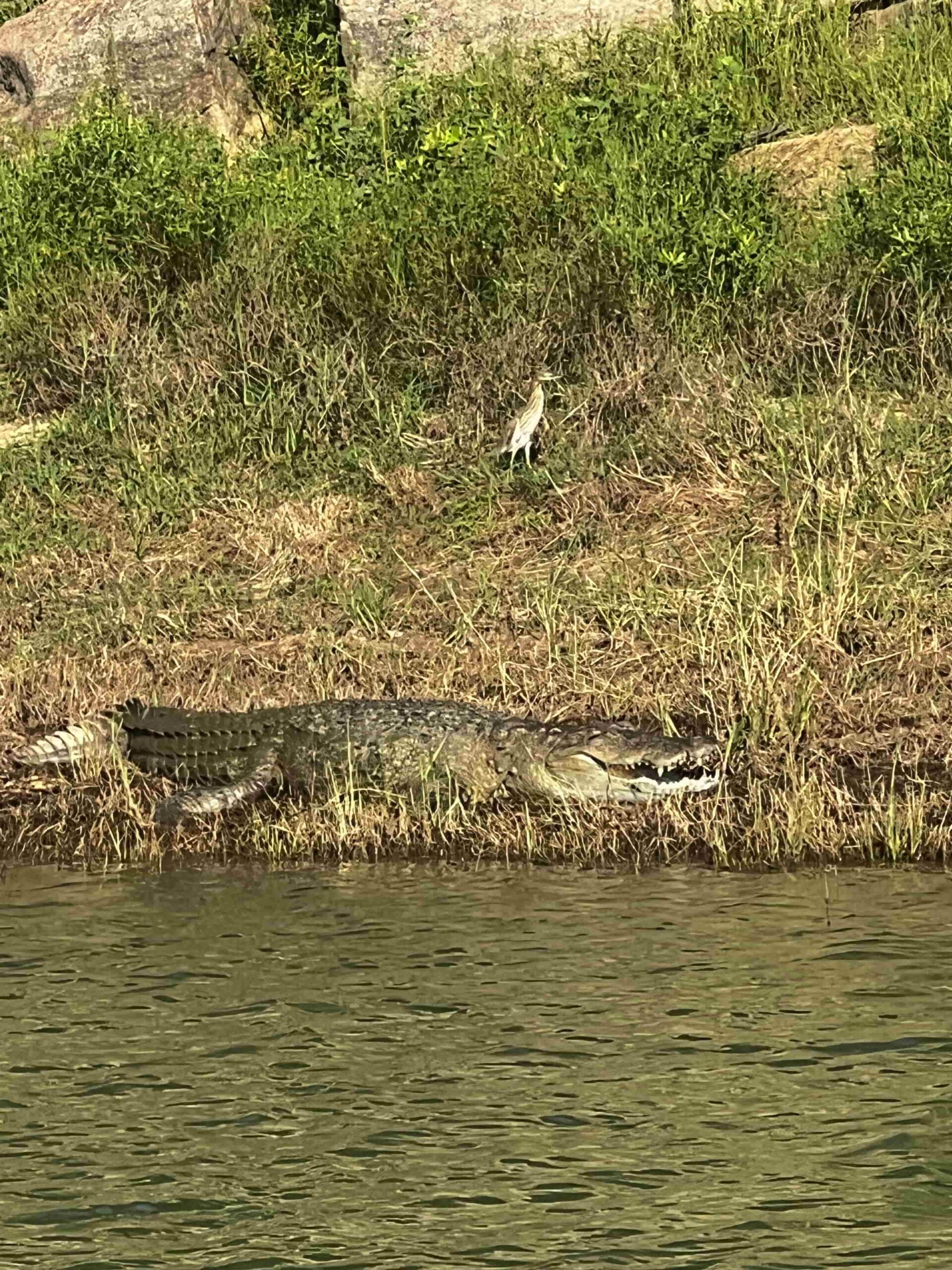 Yala Nationalpark Rejser til Sri Lanka - Rejser med privat chauffør - rundrejse i Sri Lanka