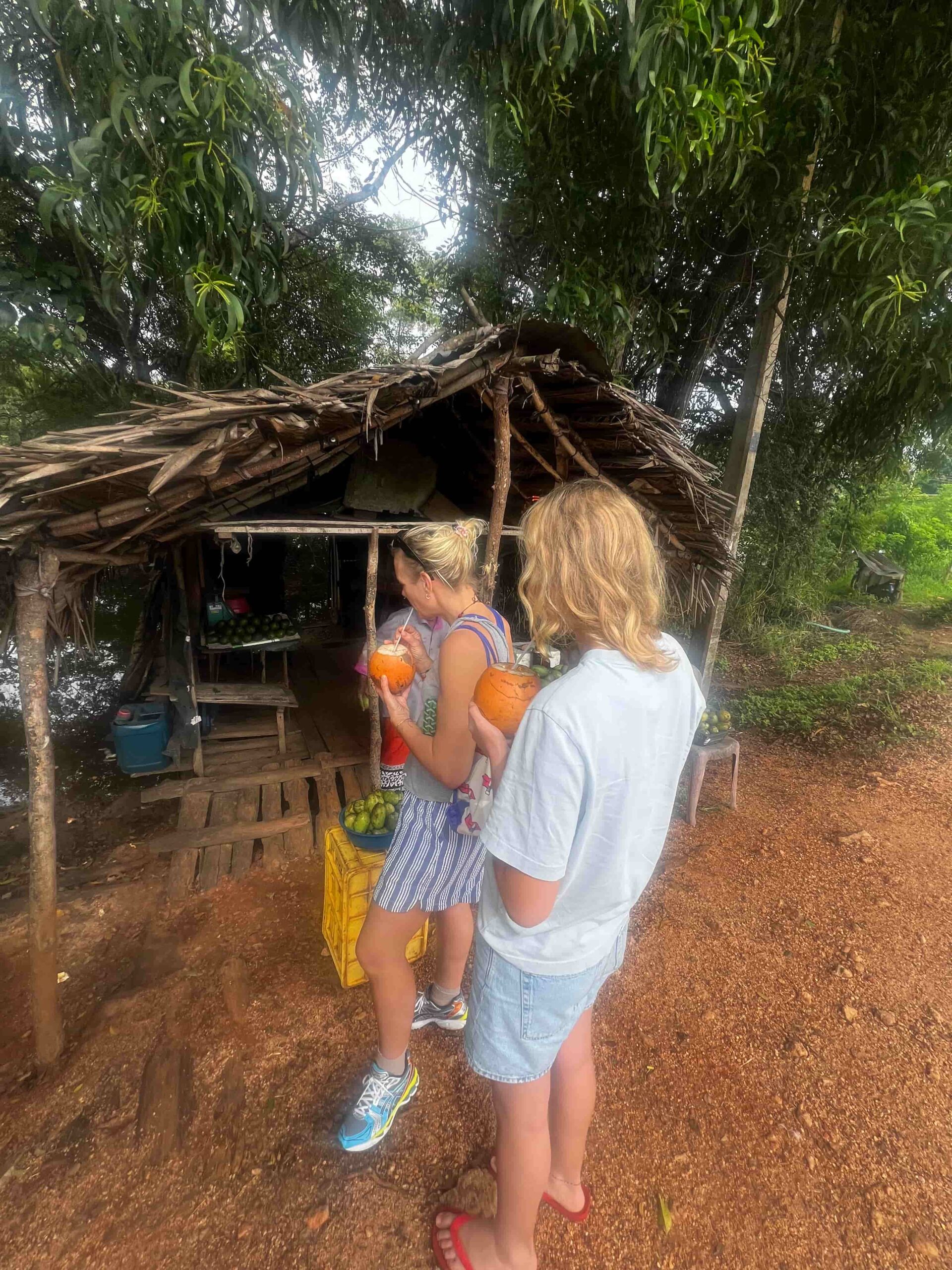 stop ved vejbod Rejser til Sri Lanka - Rejser med privat chauffør - rundrejse i Sri Lanka