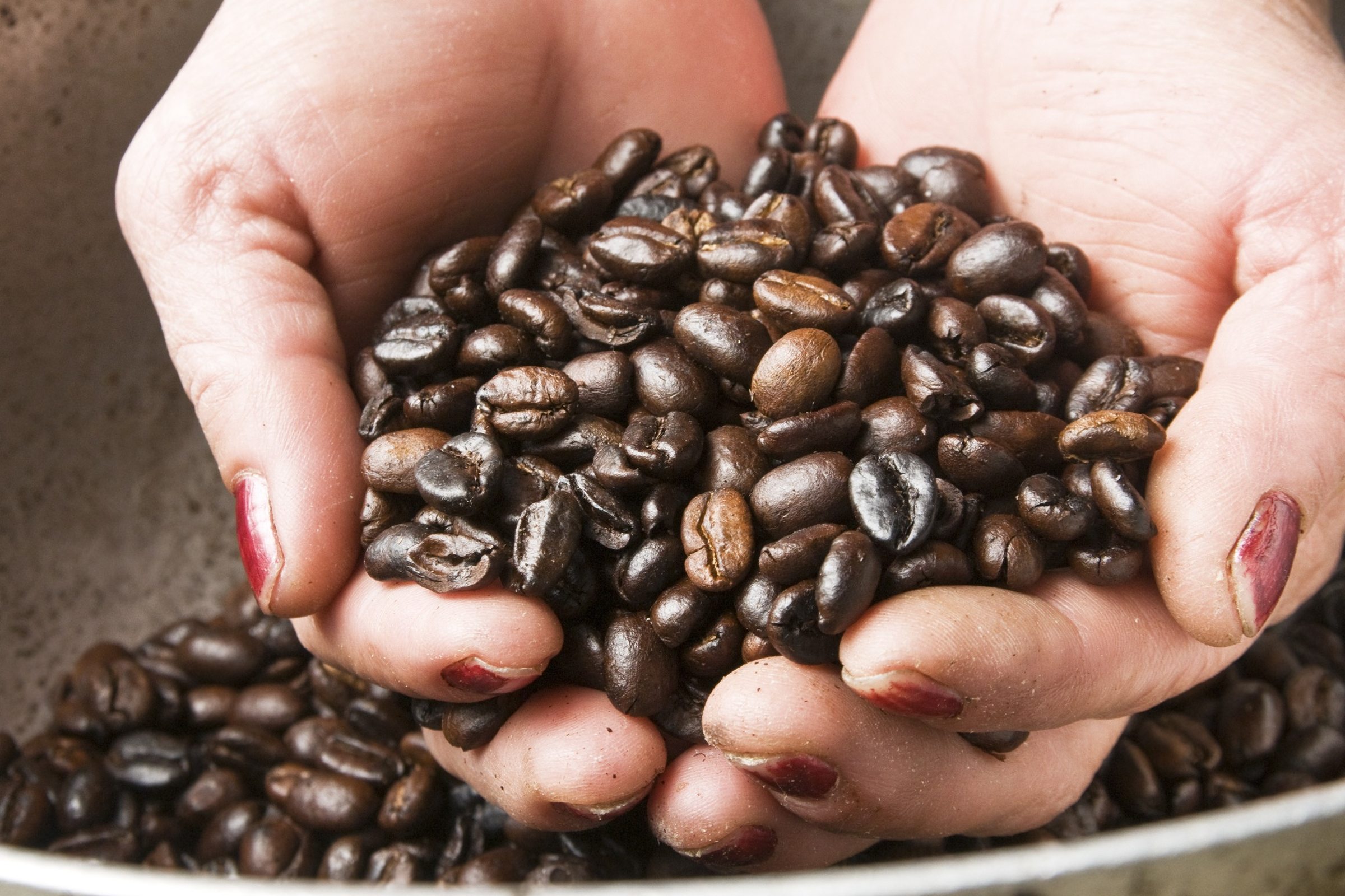 Colombia - oplev Zona Cafetera Colombia - oplev Zona Cafetera