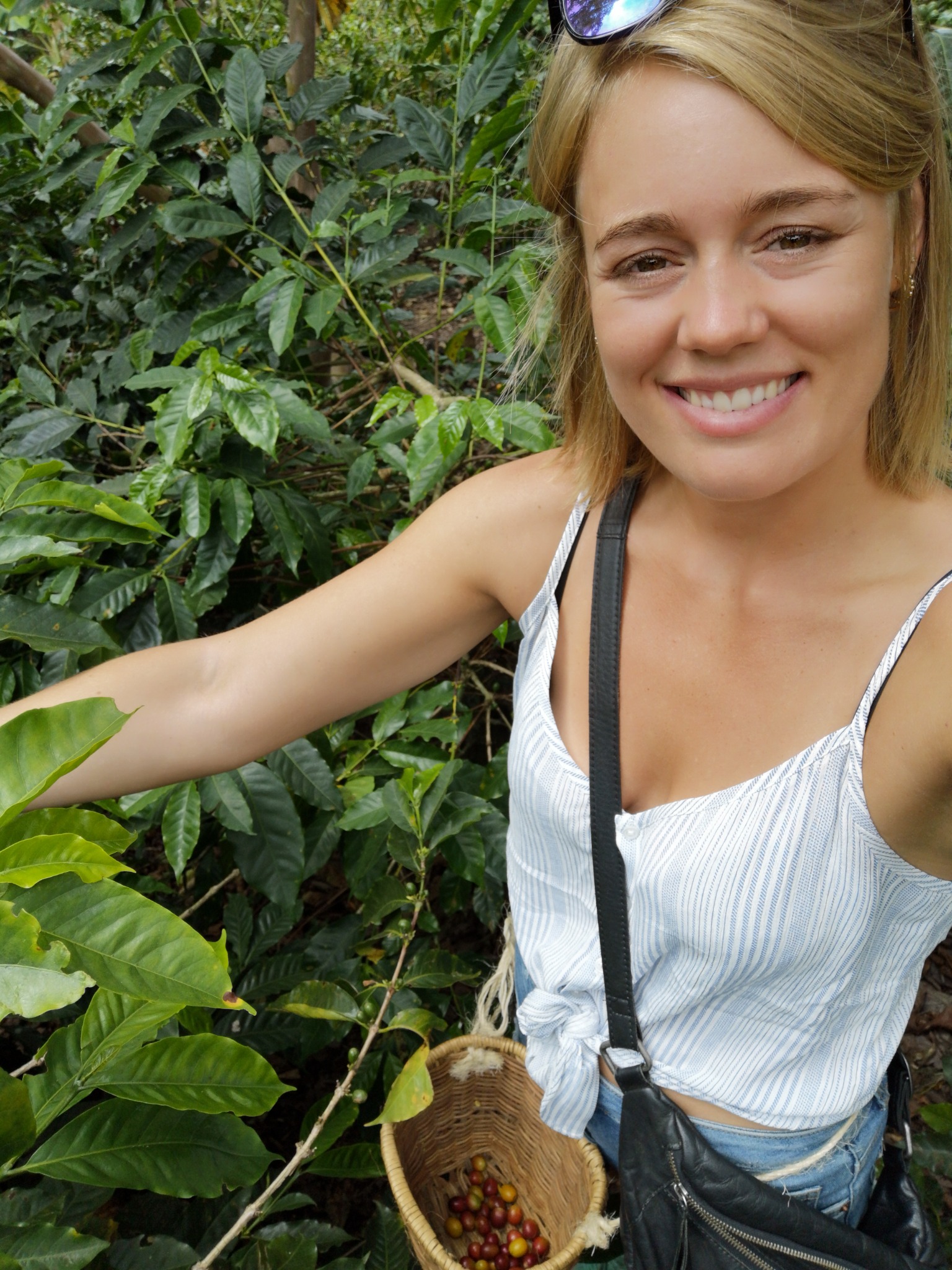 Colombia - oplev Zona Cafetera Colombia - oplev Zona Cafetera