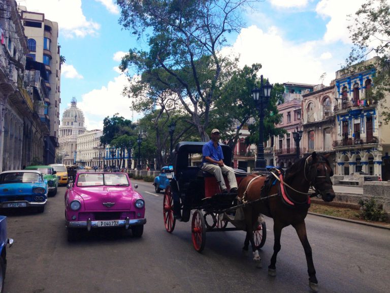 Rejser til Havana - Havana Old Town