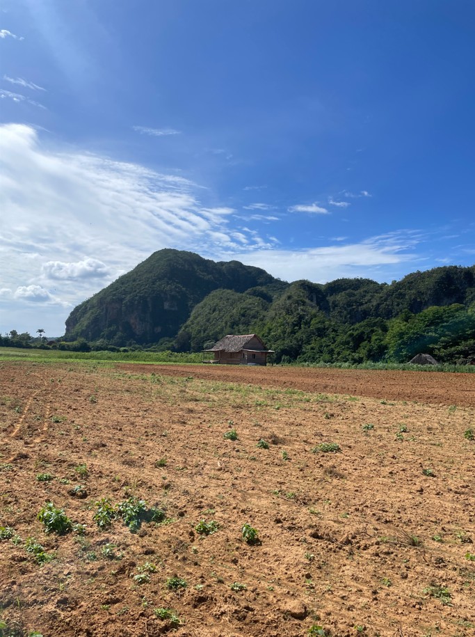 Rejser til Cuba, Rejser til Havana