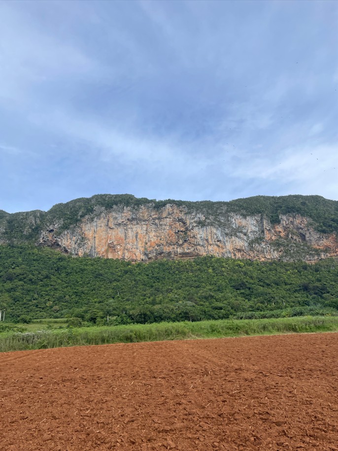 Rejser til Cuba, Rejser til Havana
