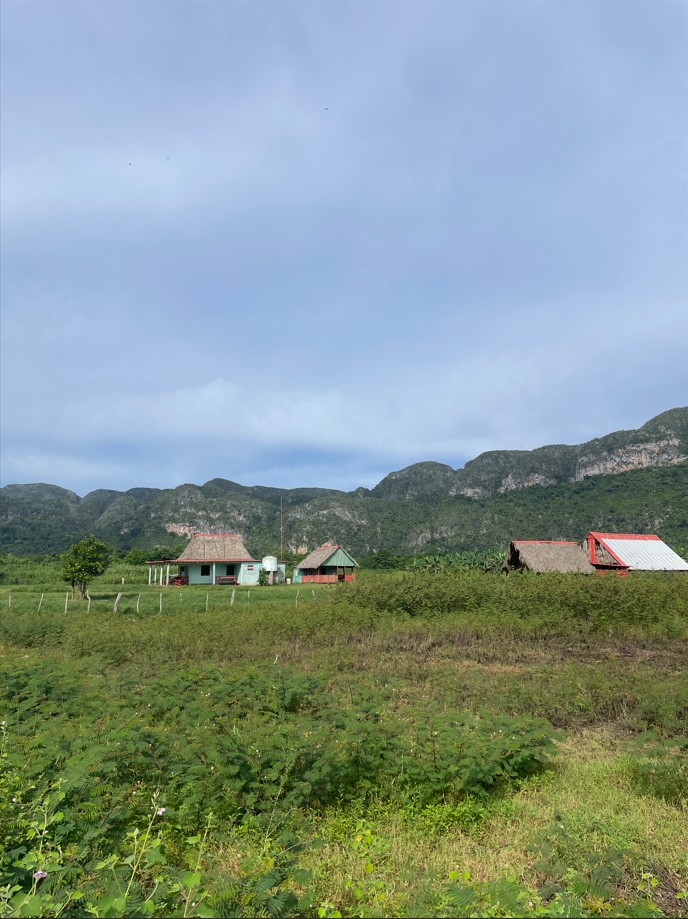 Rejser til Cuba, Rejser til Havana