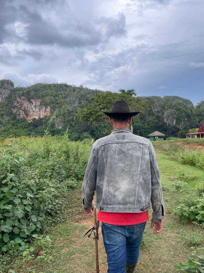 Rejser til Cuba, Rejser til Havana