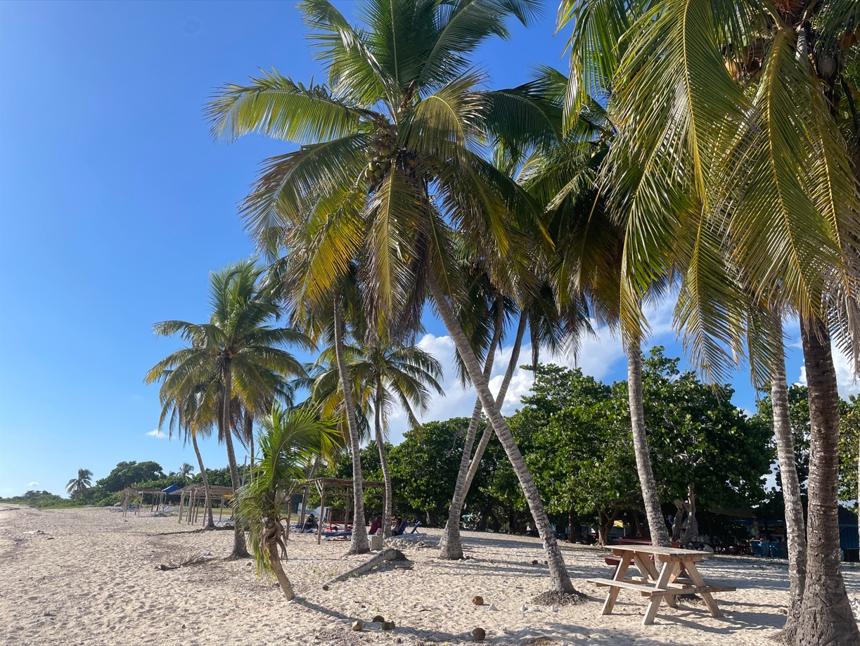 Rejser til Cuba, Rejser til Havana, Rejser til Trinidad