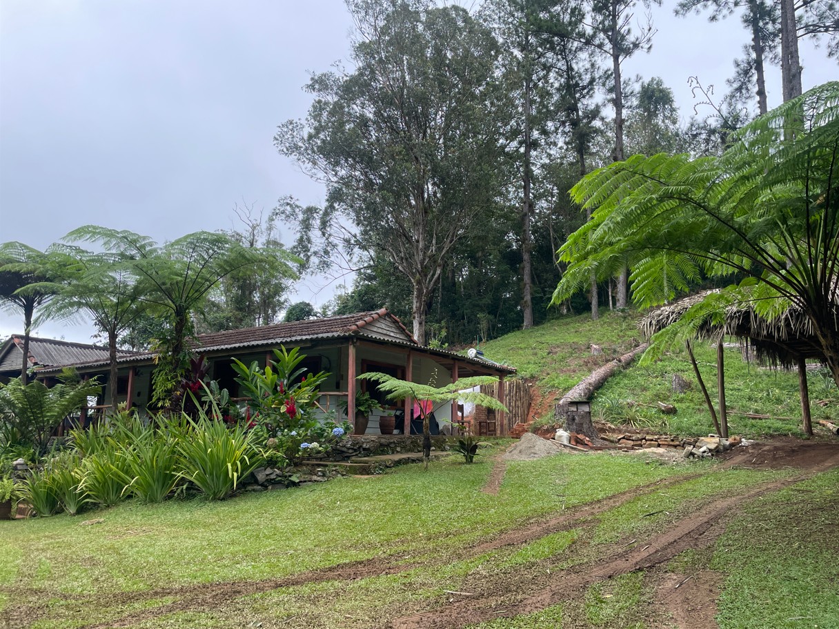 Rejser til Cuba, Rejser til Havana