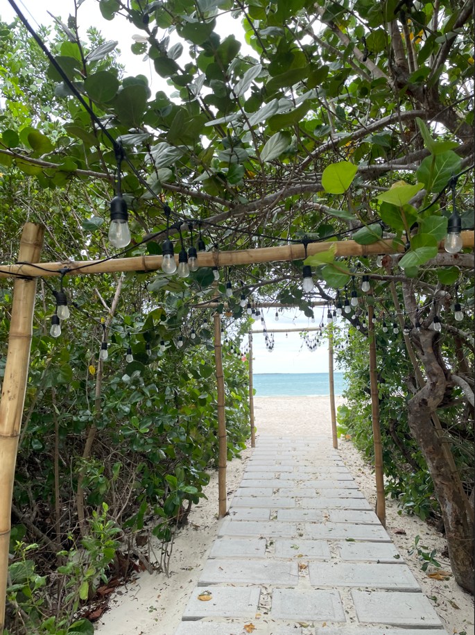 Rejser til Cuba, Rejser til Havana