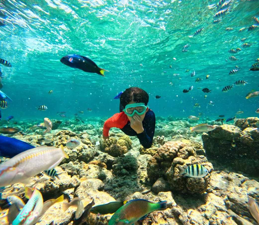 Koh Tao Rejser til thailand, Rejser til syd Thailand, Øer i Thailand, Oplevelser i Thailand.