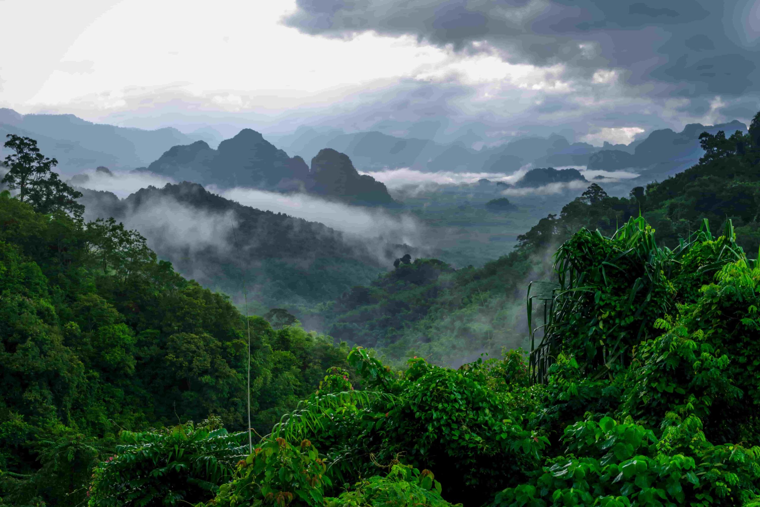 Asiens smukkeste steder - Thailand - Khao Sok
