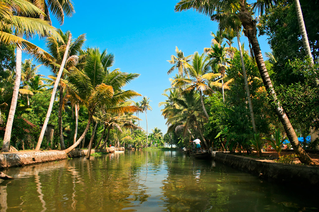 Rejser til Indien - Kerala Backwaters